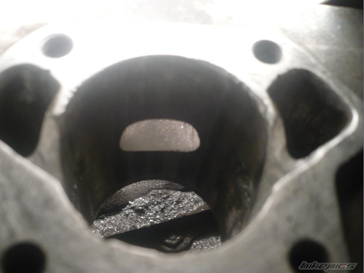 Photo 1122929