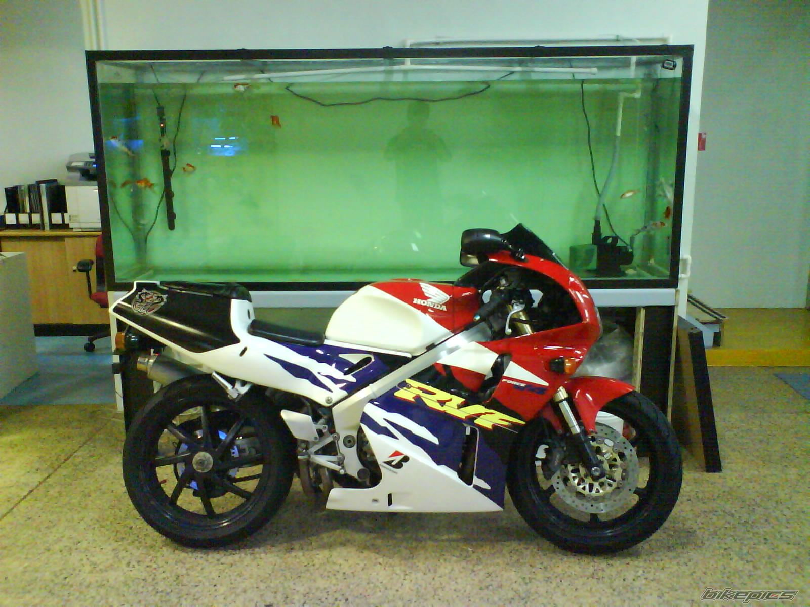 Photo 1122984
