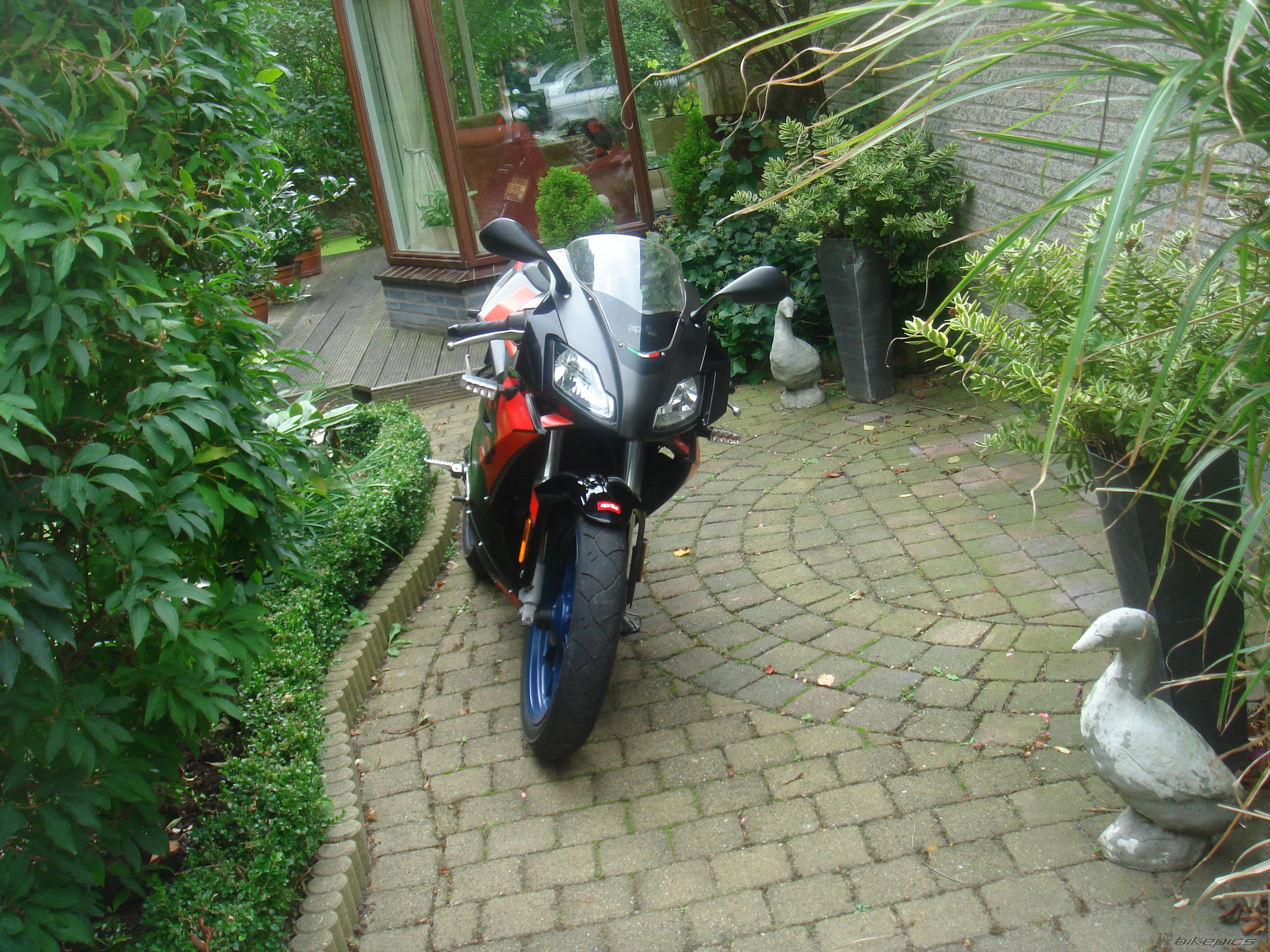 Photo 1122985