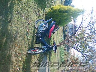 Photo 1123114