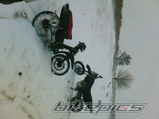Photo 1123124