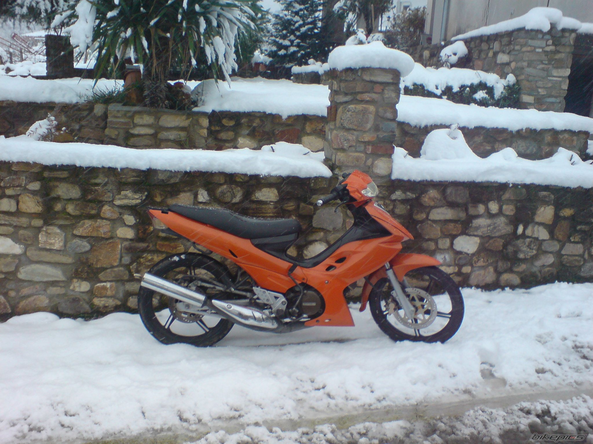 Photo 1123362