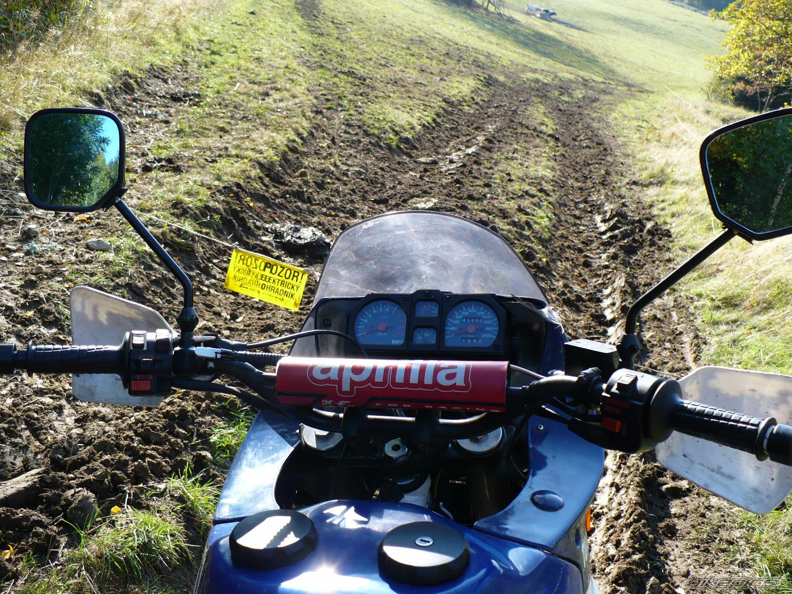 Bike Photo 1123394