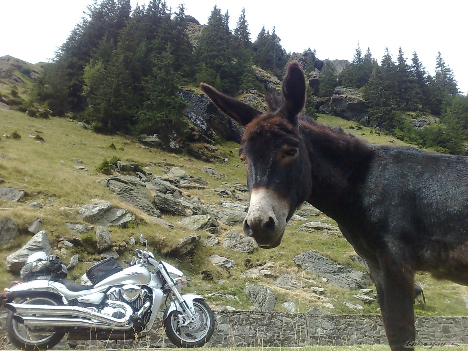Photo 1123395