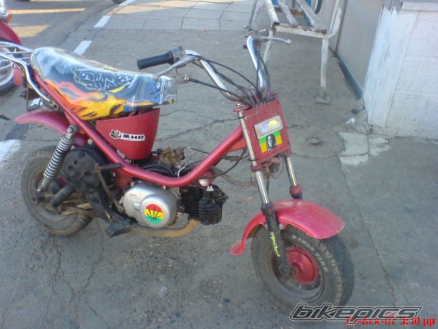 Photo 1123413