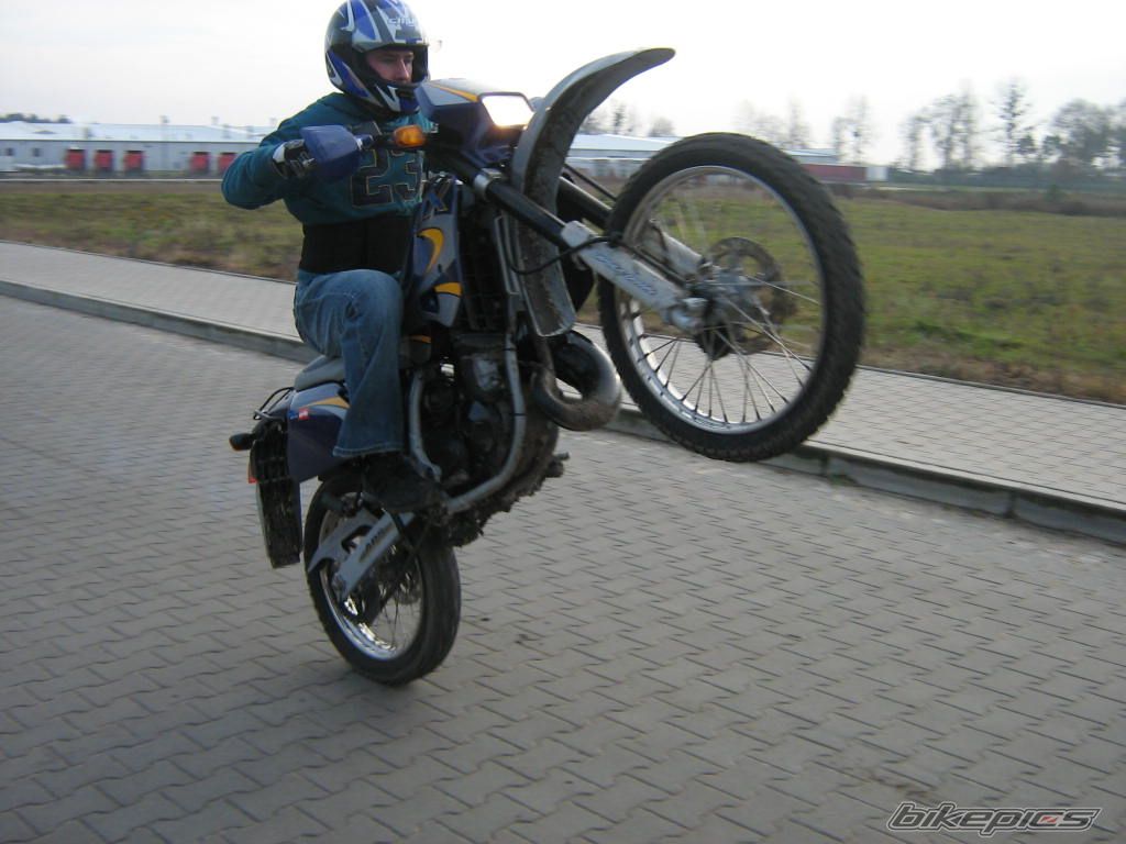 Photo 1123444