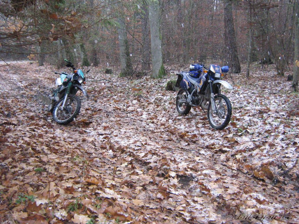Bike Photo 1123482
