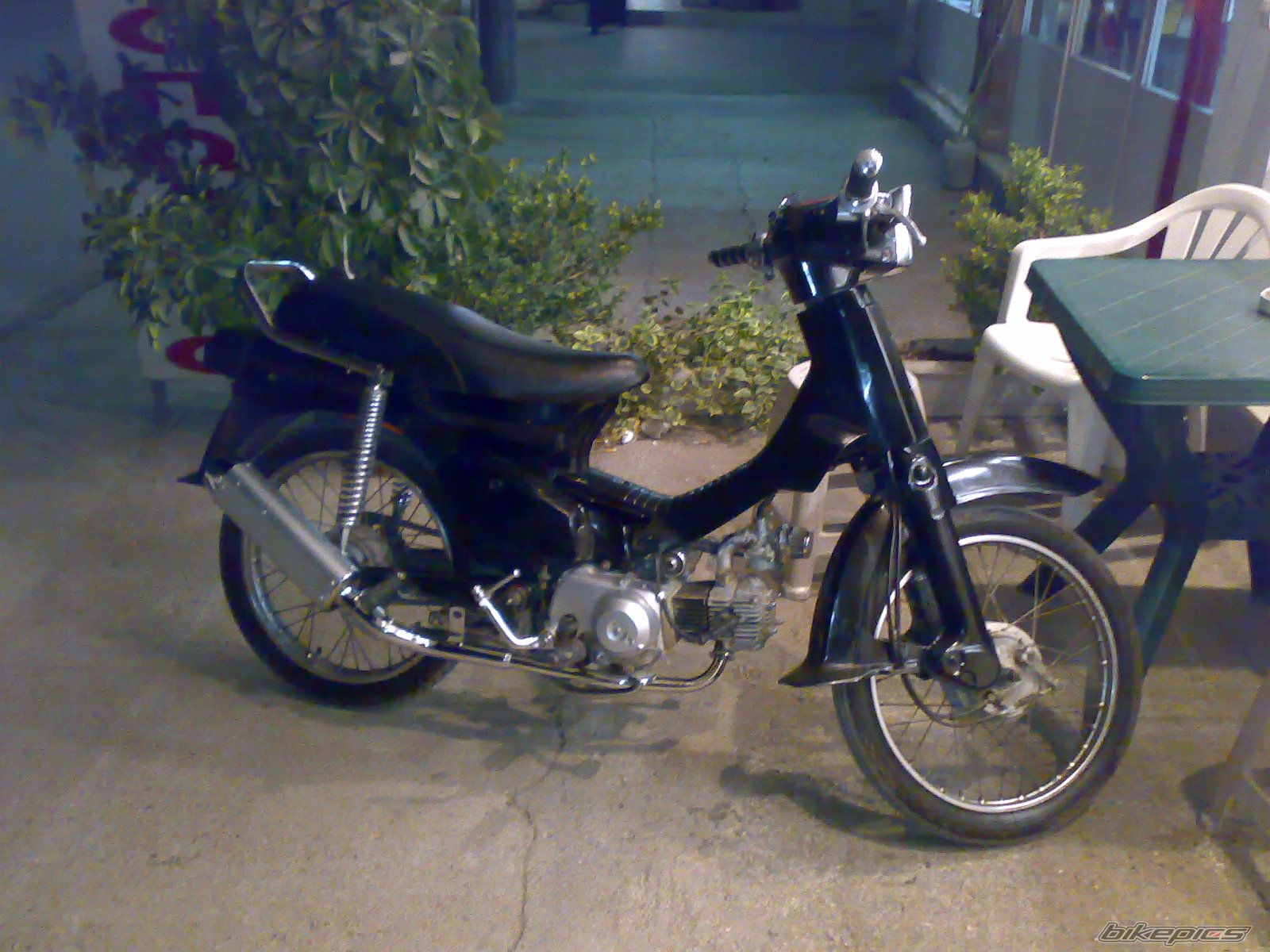Photo 1123540