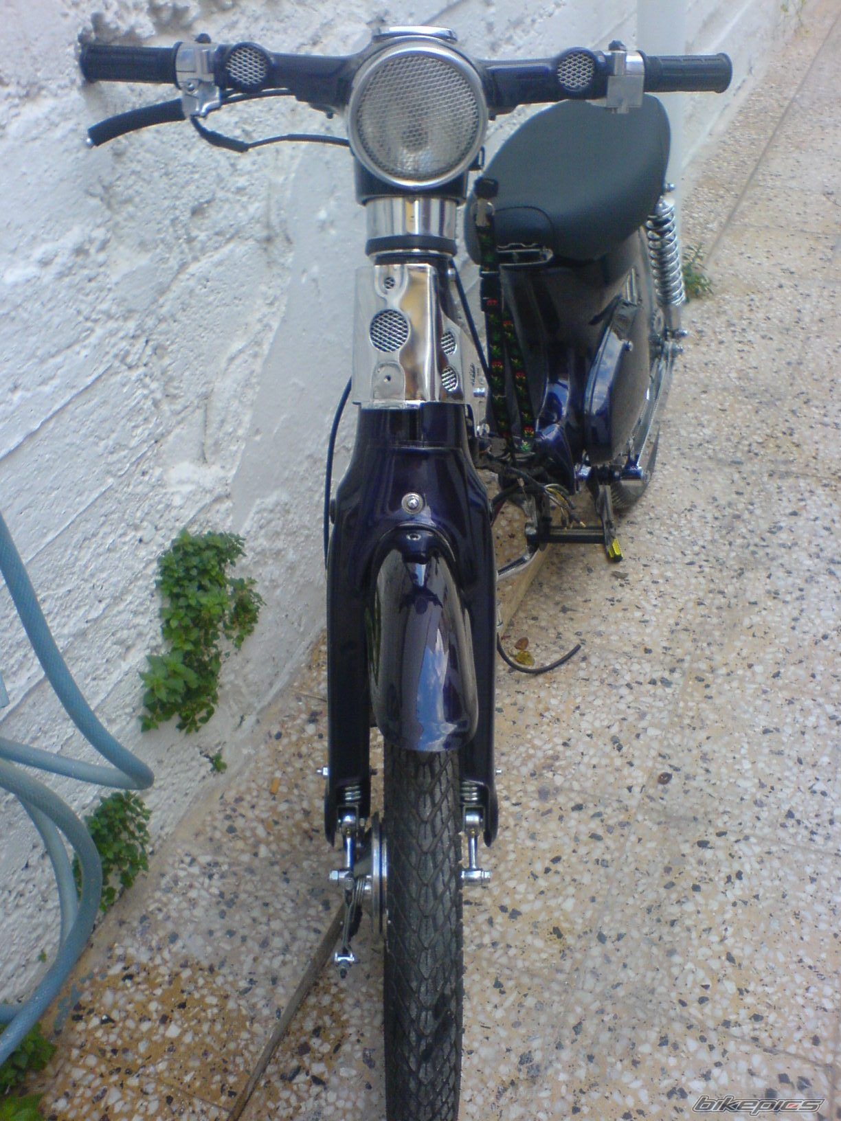 Photo 1123568