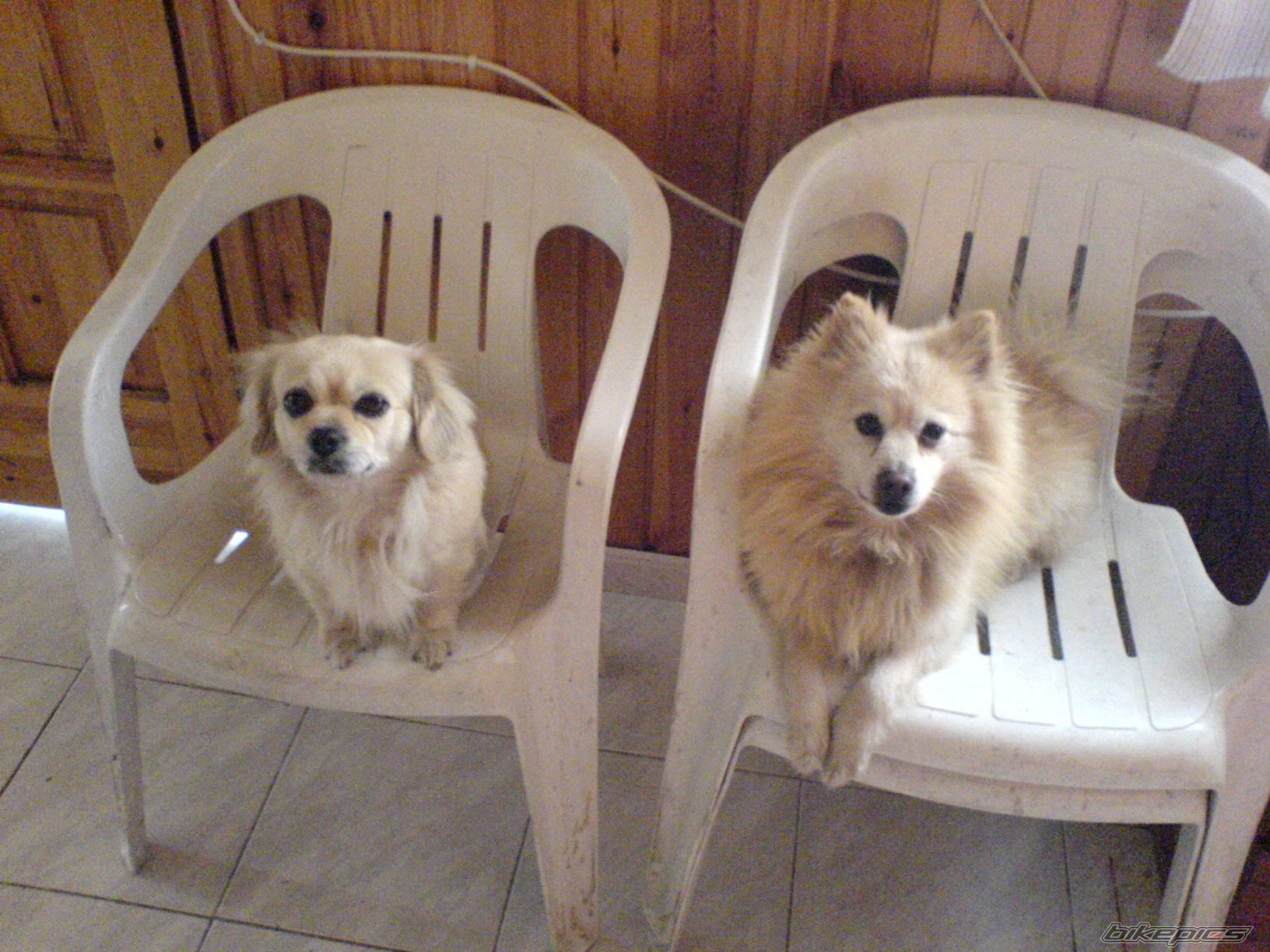 Photo 1123614