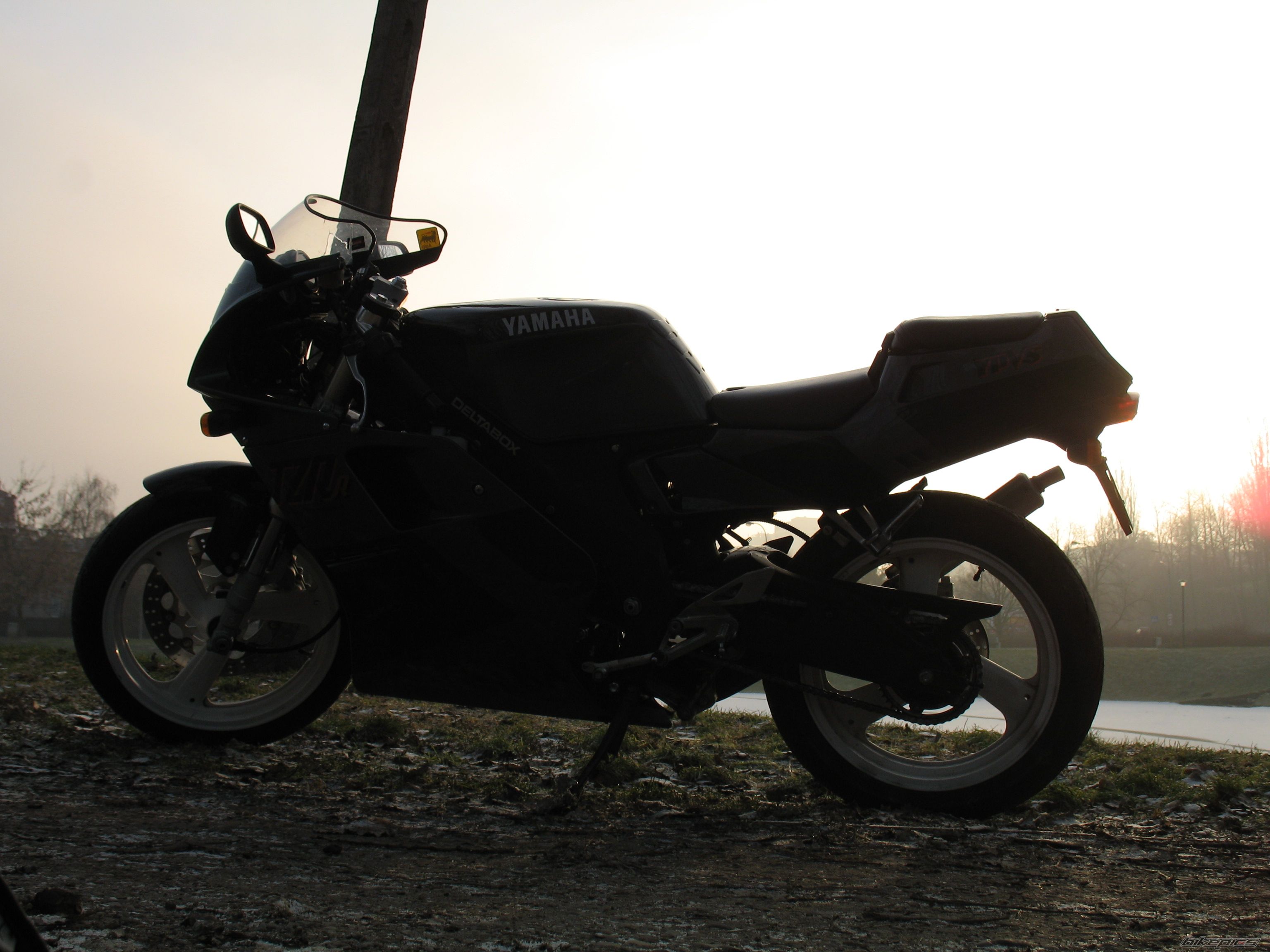 Photo 1123691