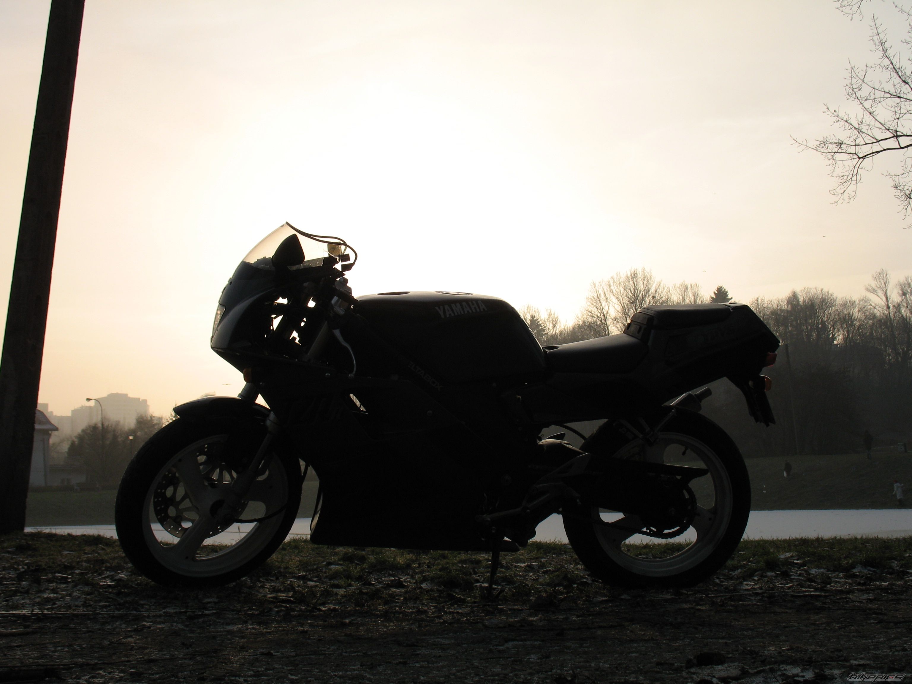 Photo 1123692