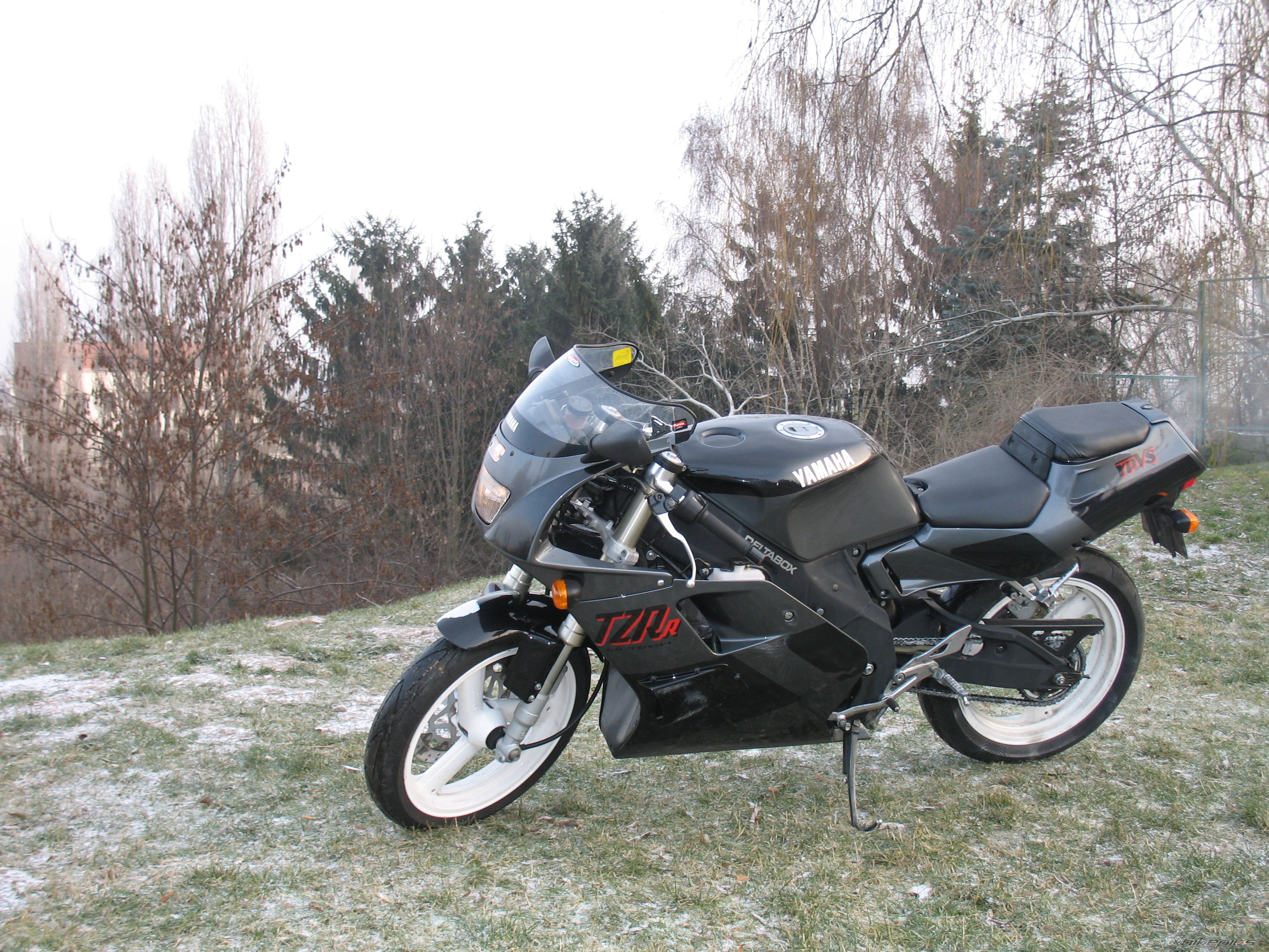 Photo 1123693