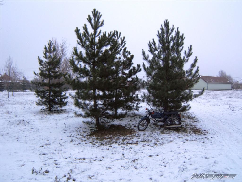 Photo 1123732