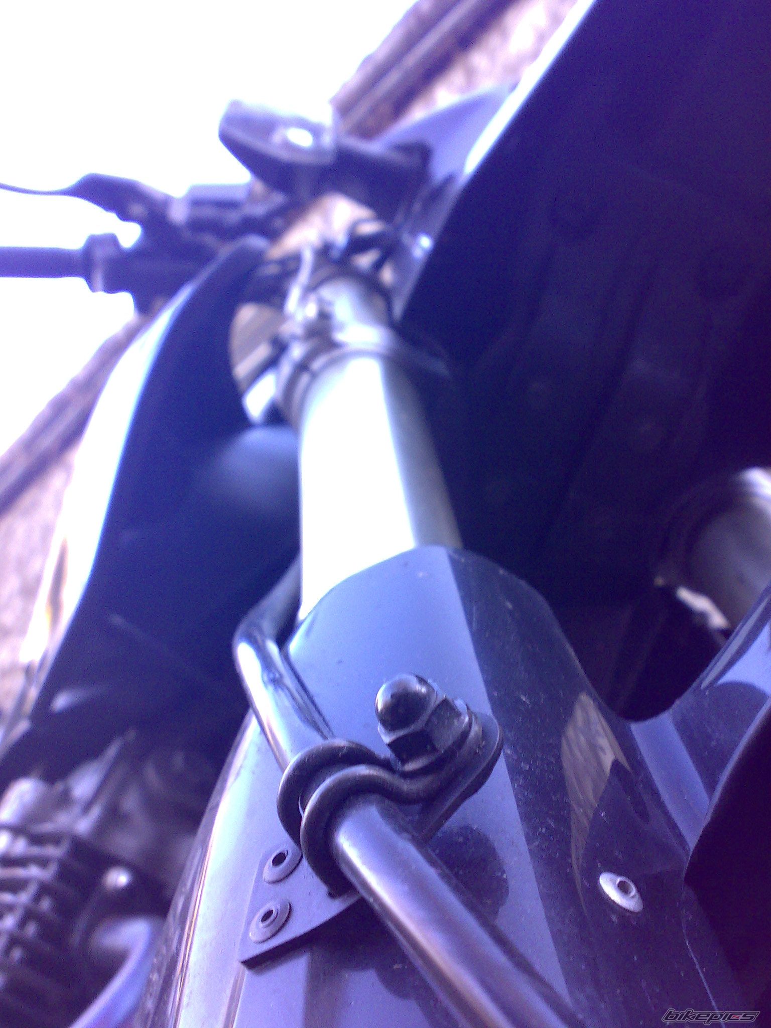 Photo 1123831
