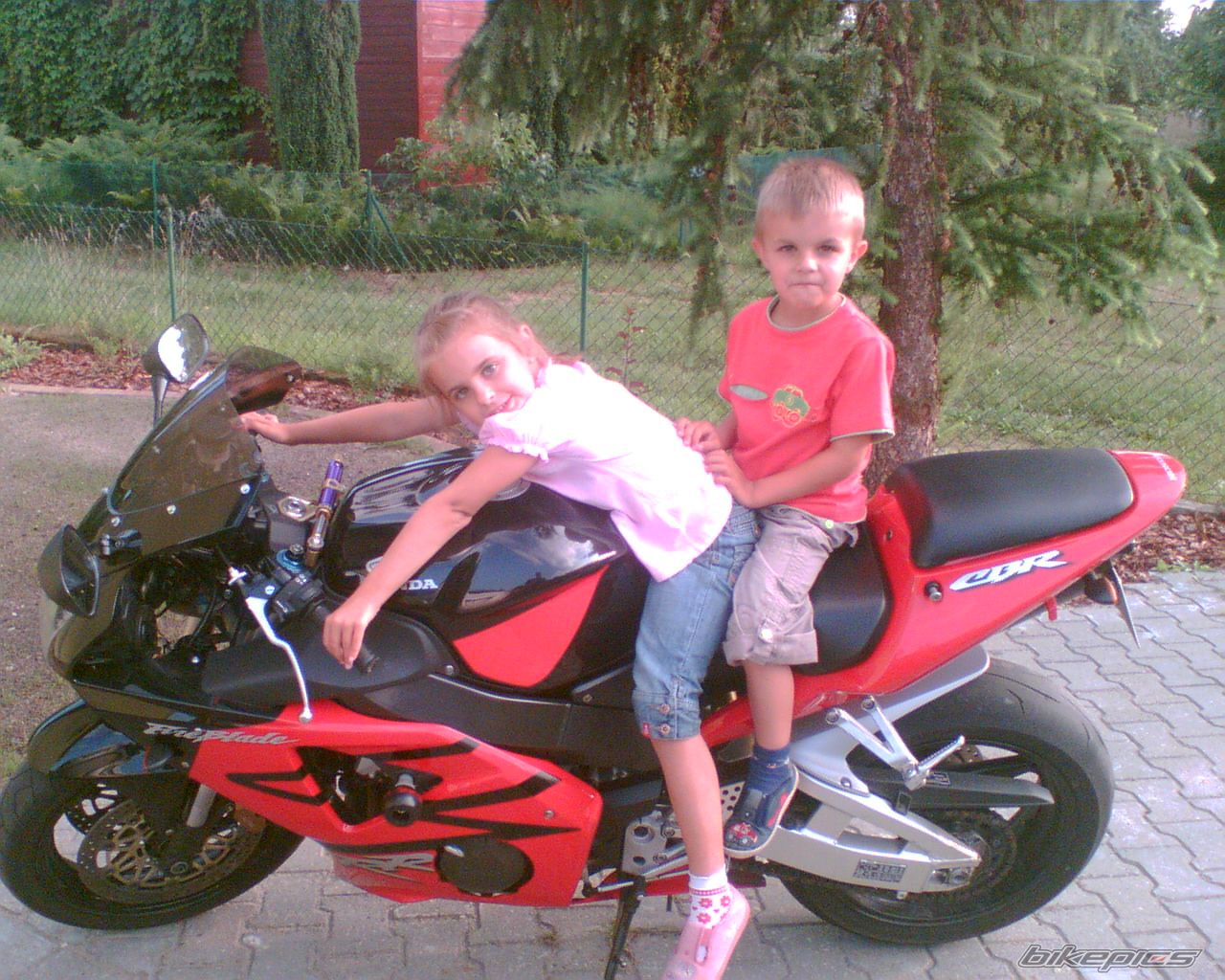 Photo 1123840