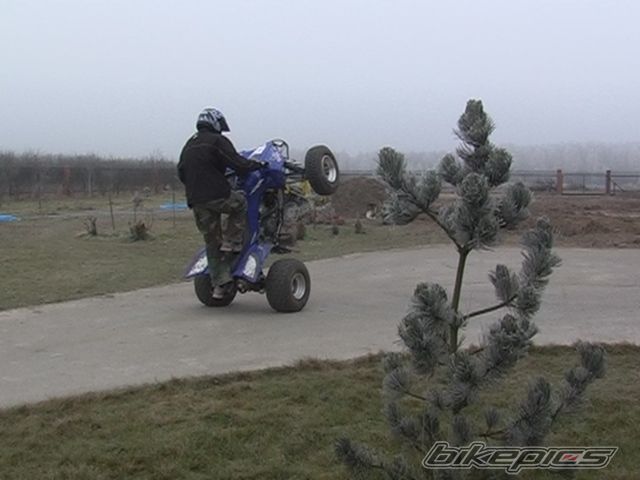 Photo 1123863