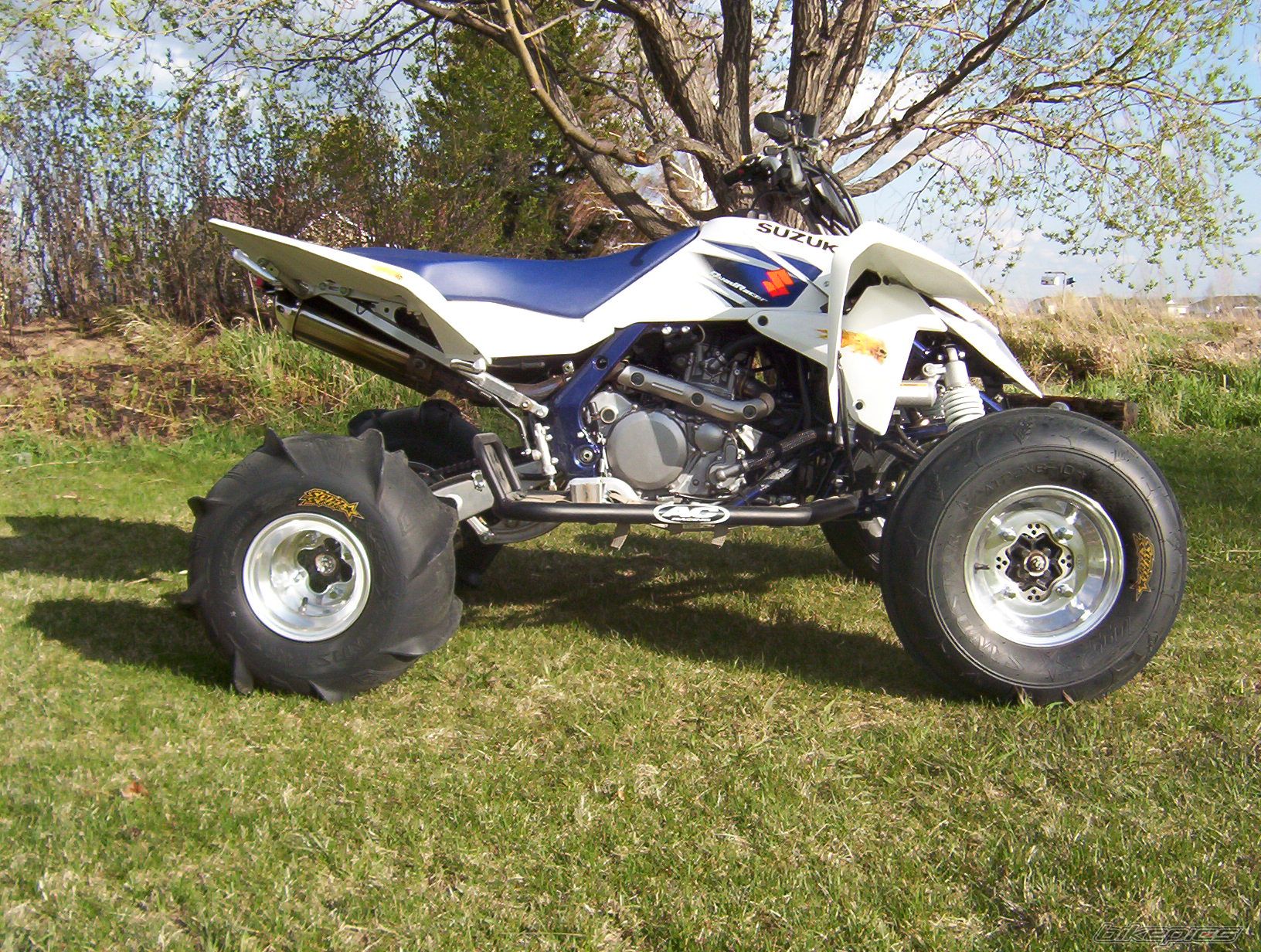 Photo 1124037