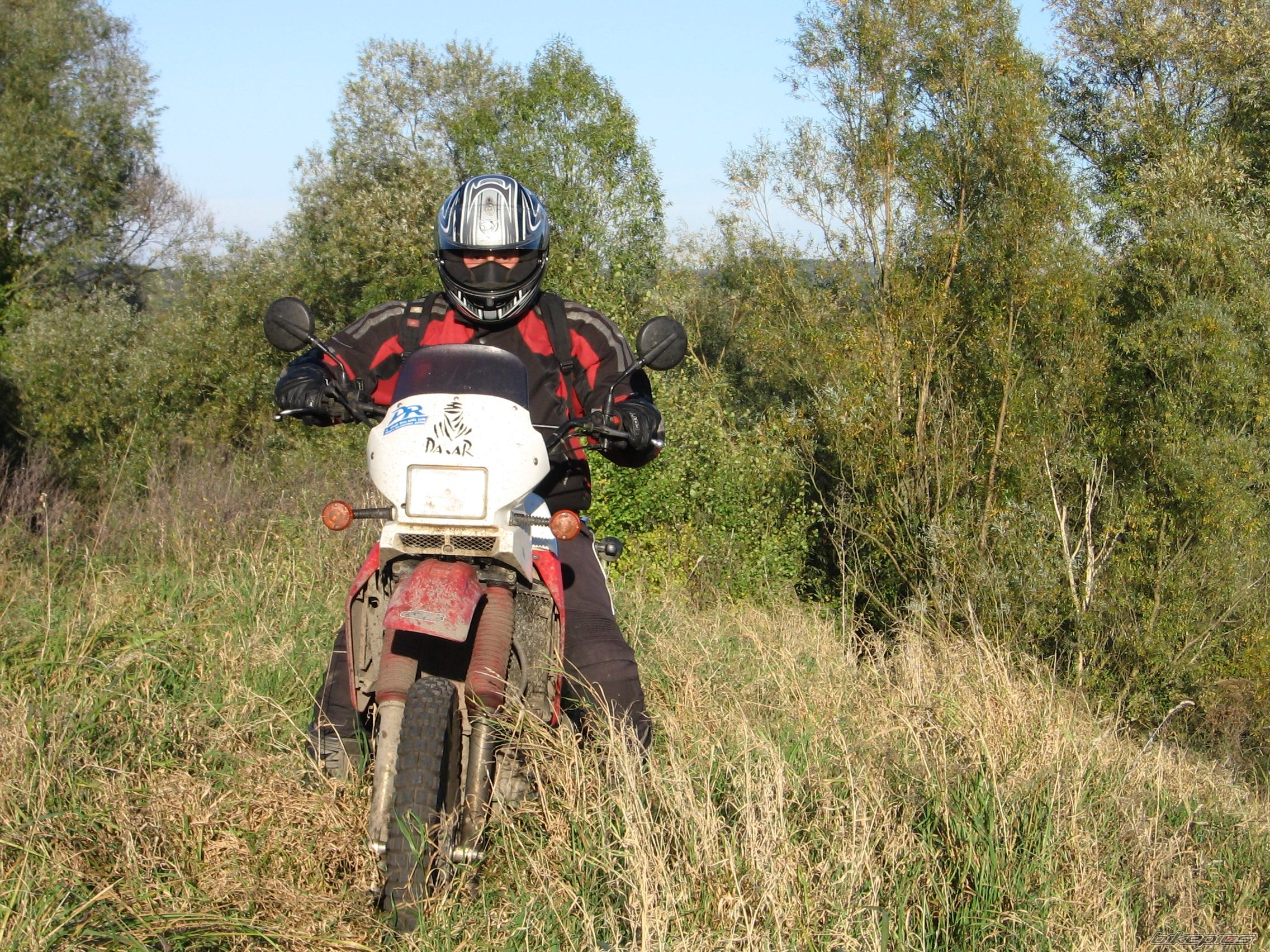 Bike Photo 1124199