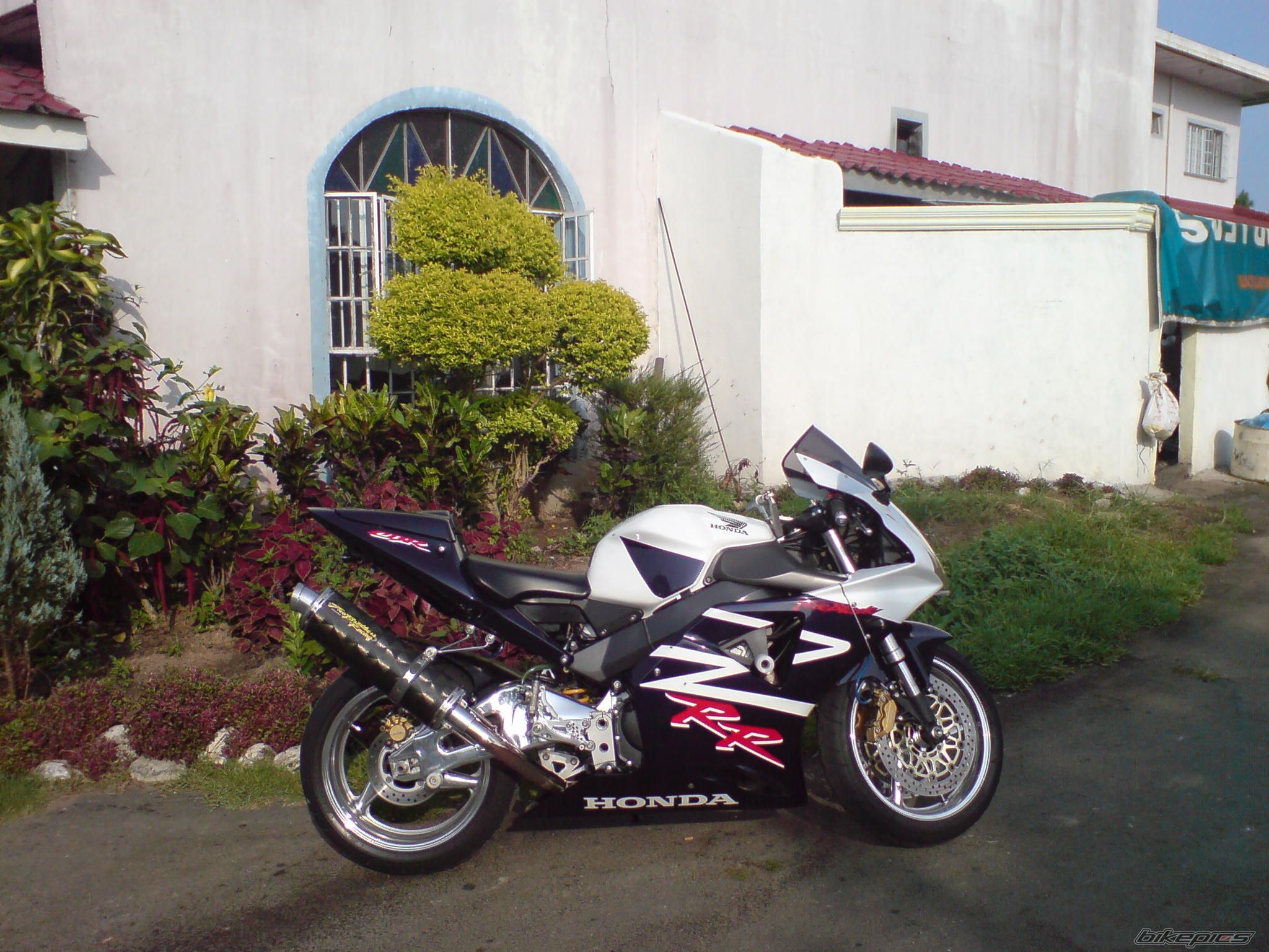 Photo 1124211
