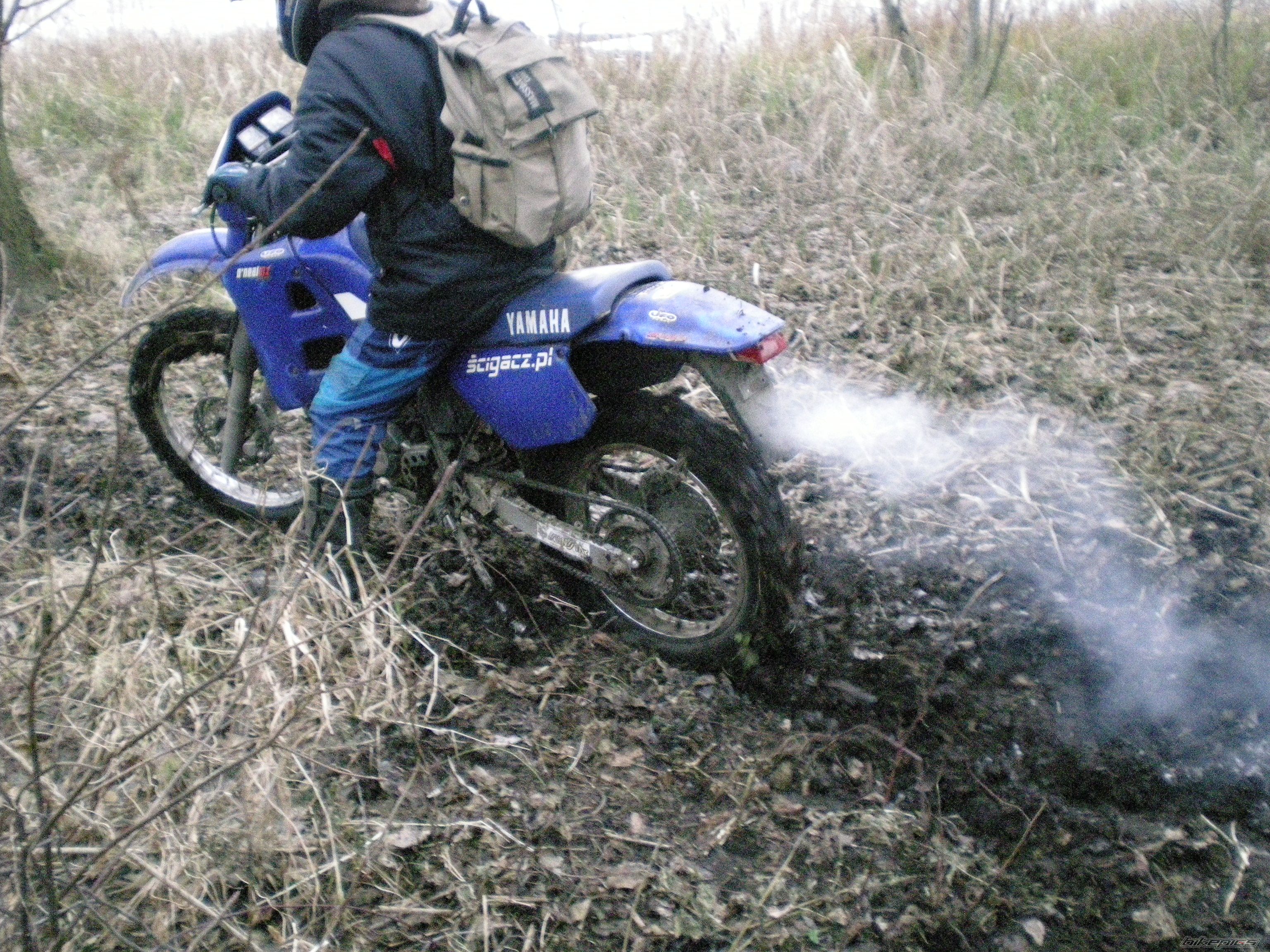 Photo 1124307