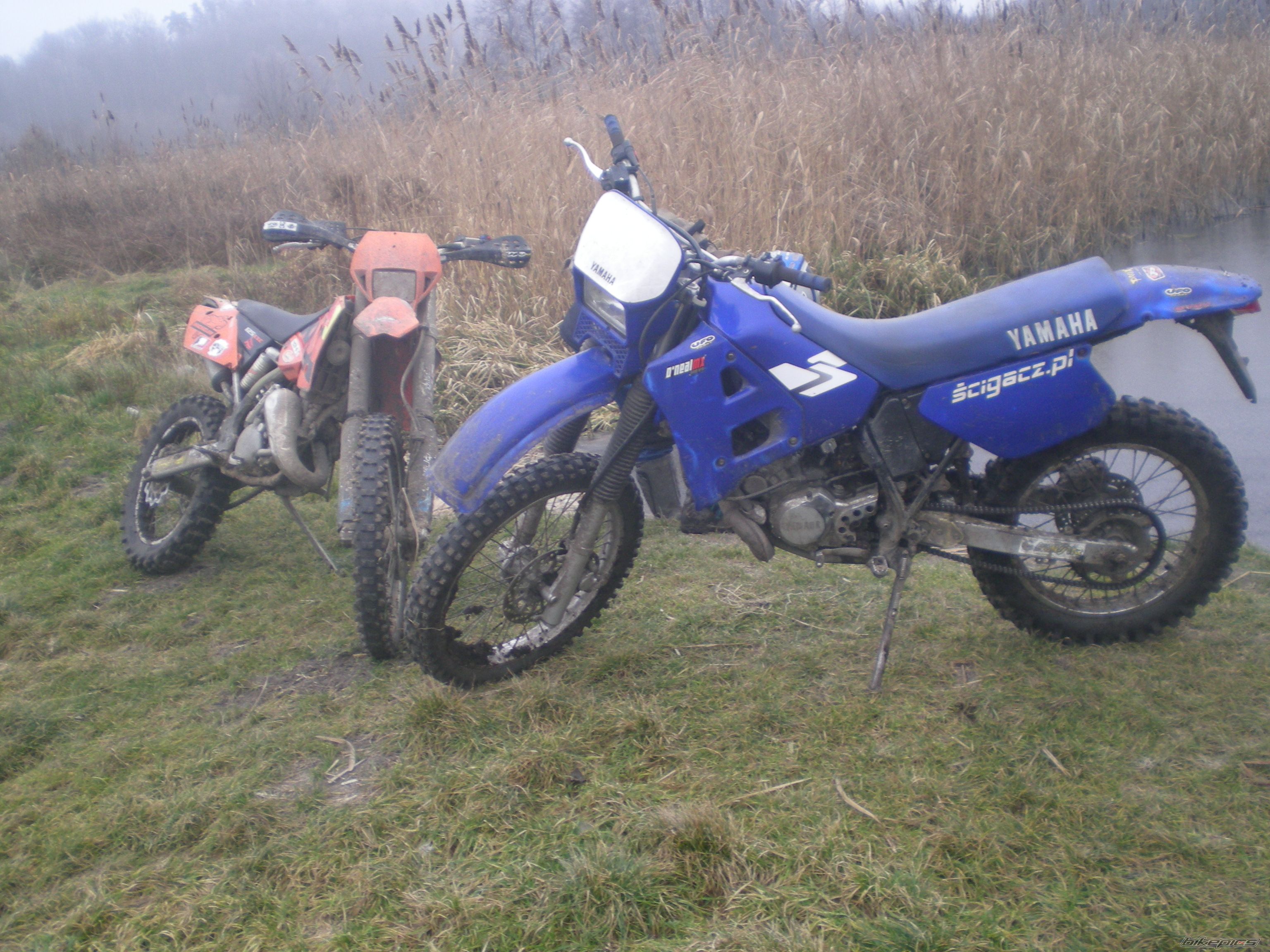 Photo 1124310