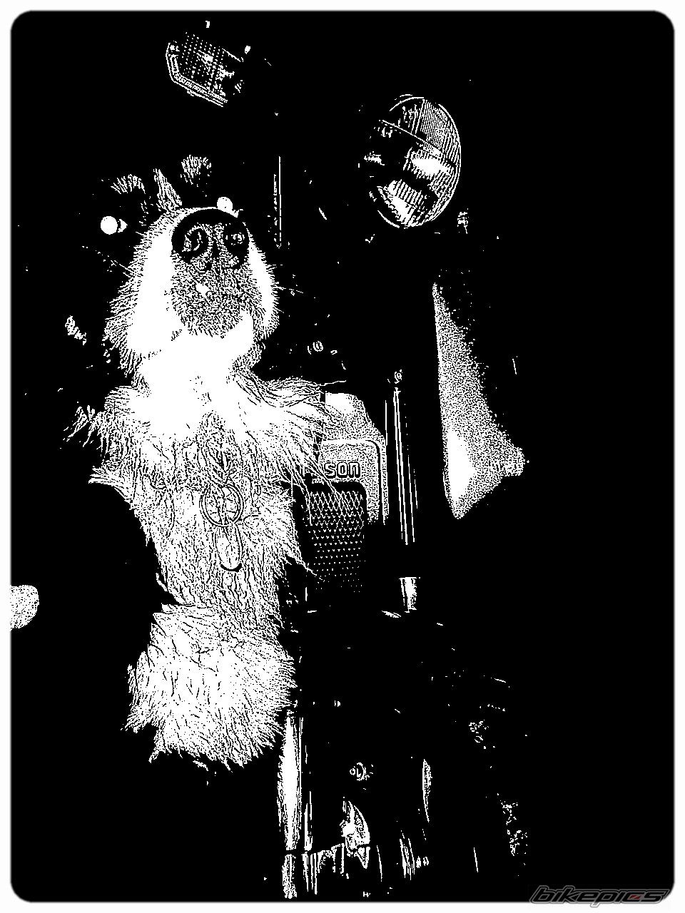 Photo 1124311