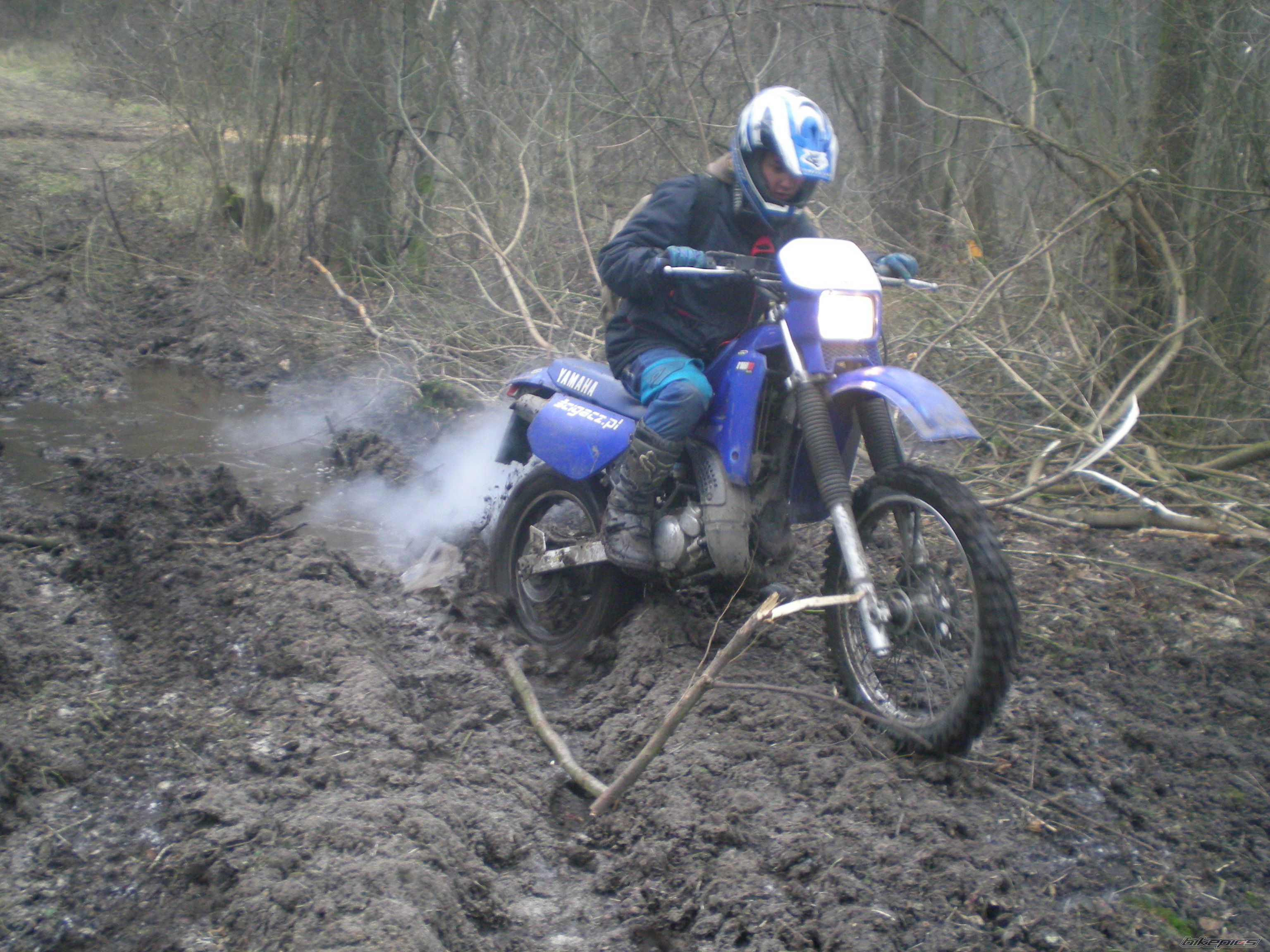Photo 1124312