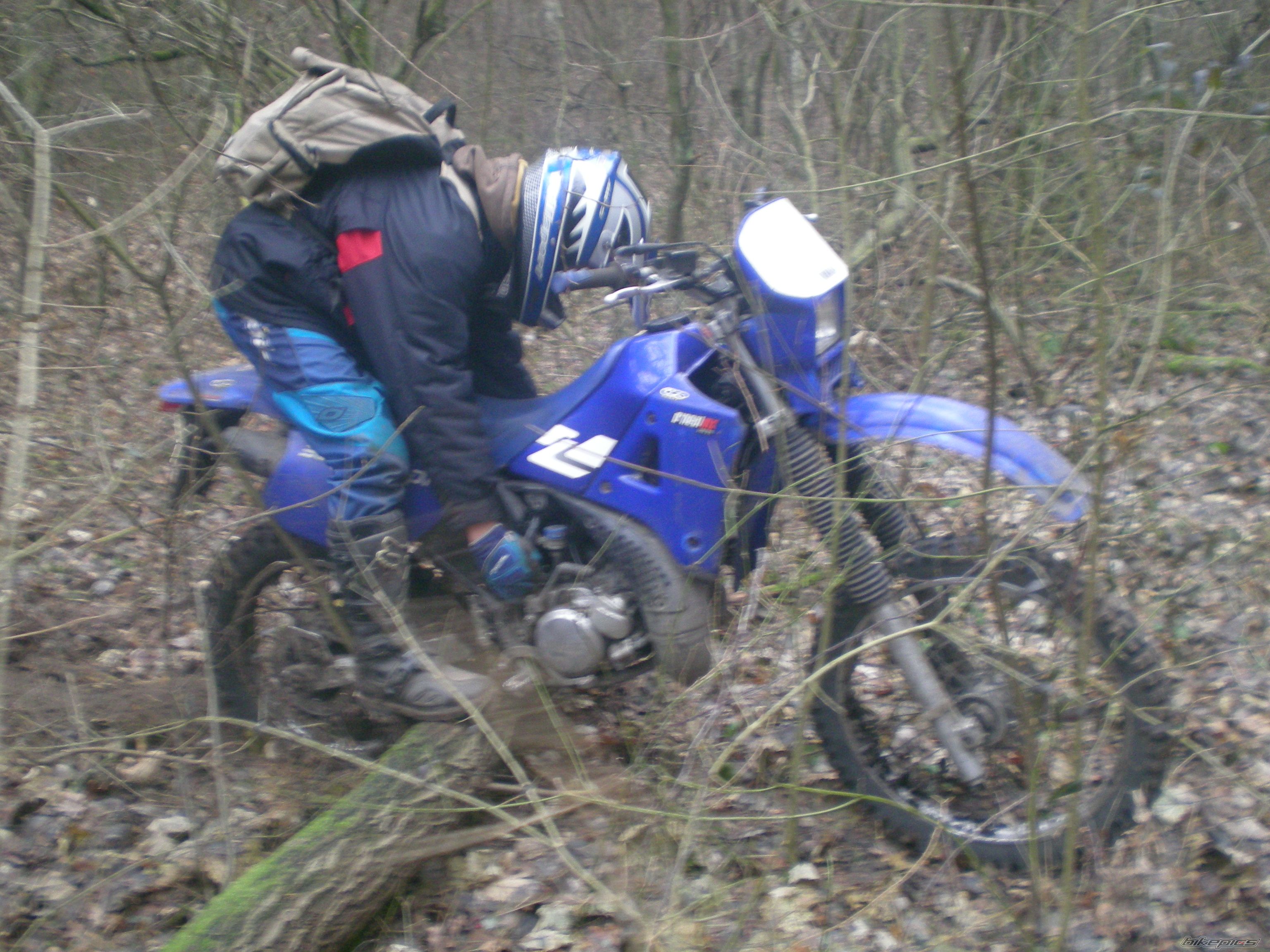 Photo 1124313