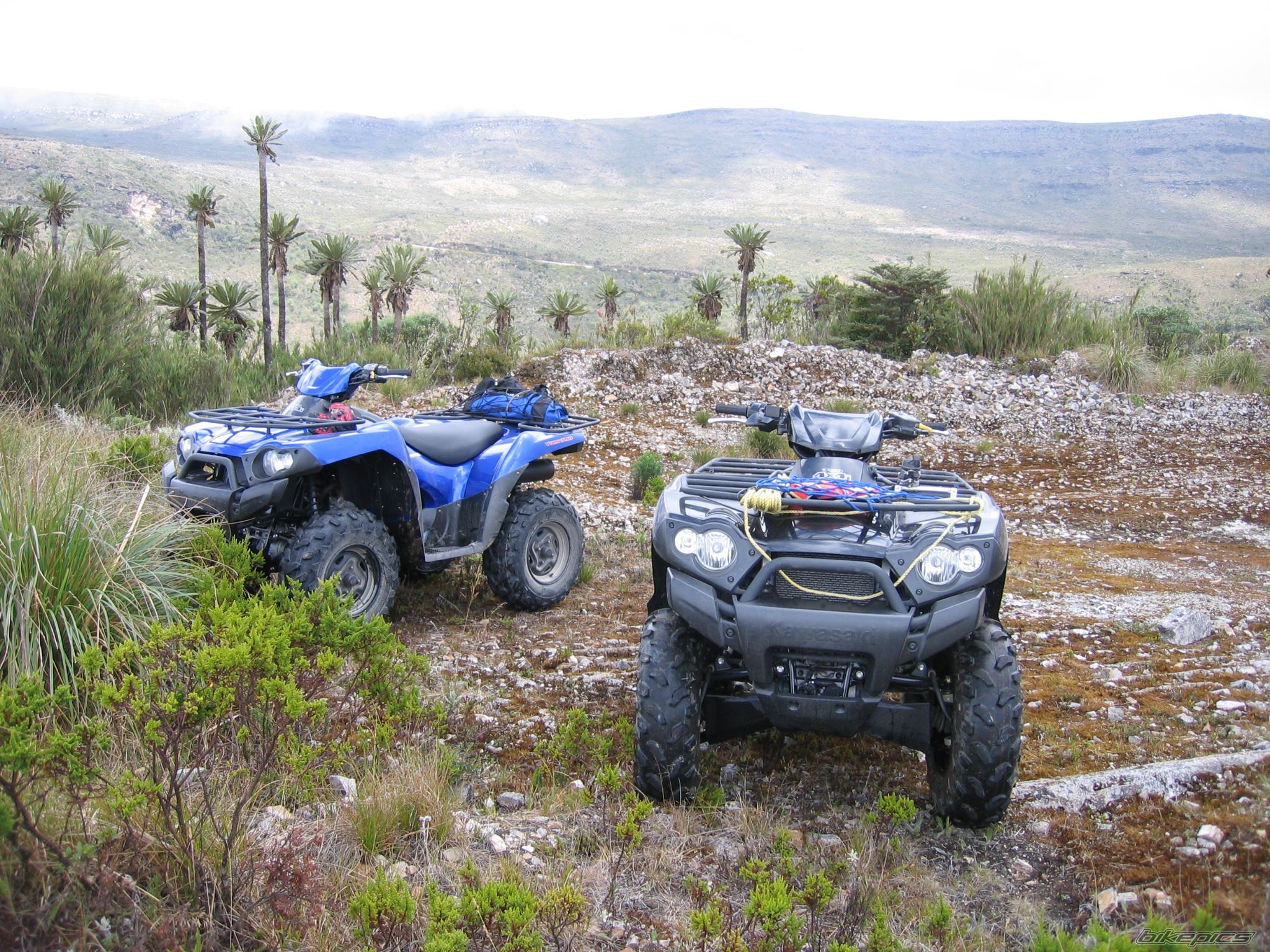 Photo 1124393