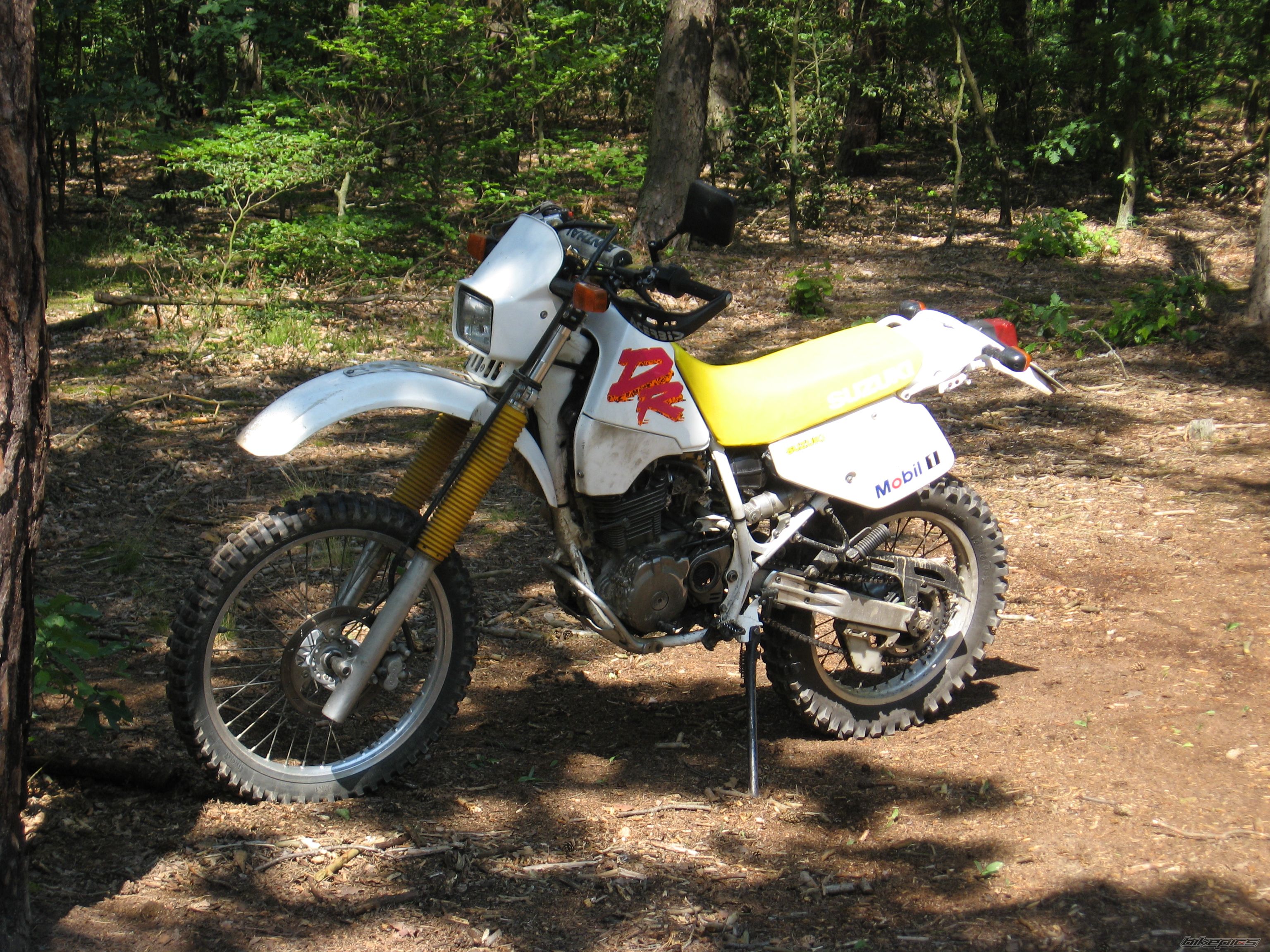 Photo 1124413