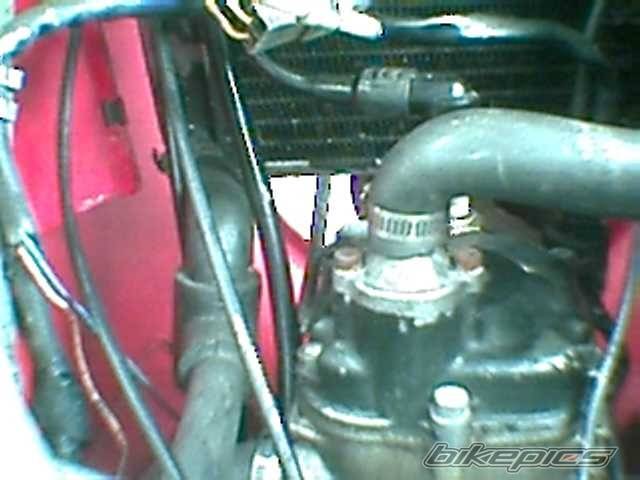 Bike Photo 112446