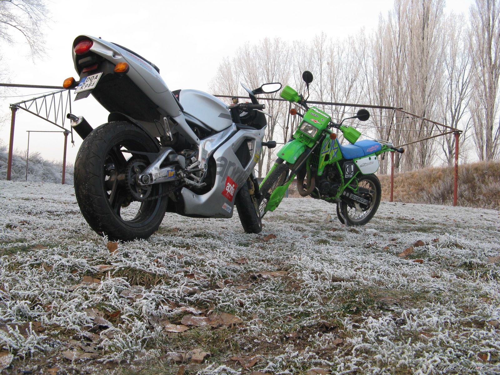 Bike Photo 1124485