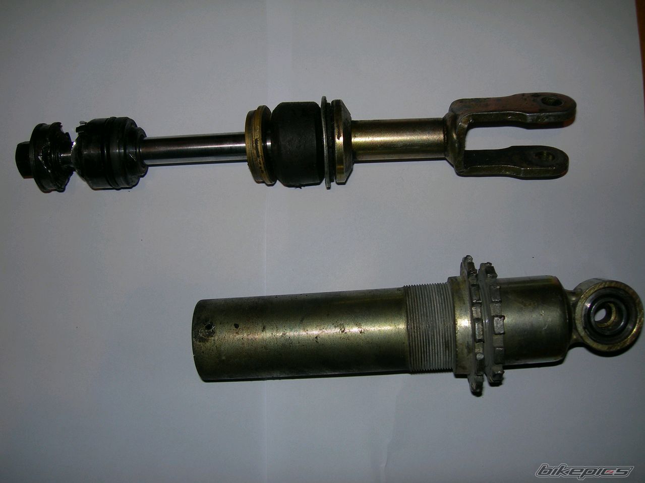 Photo 1124873