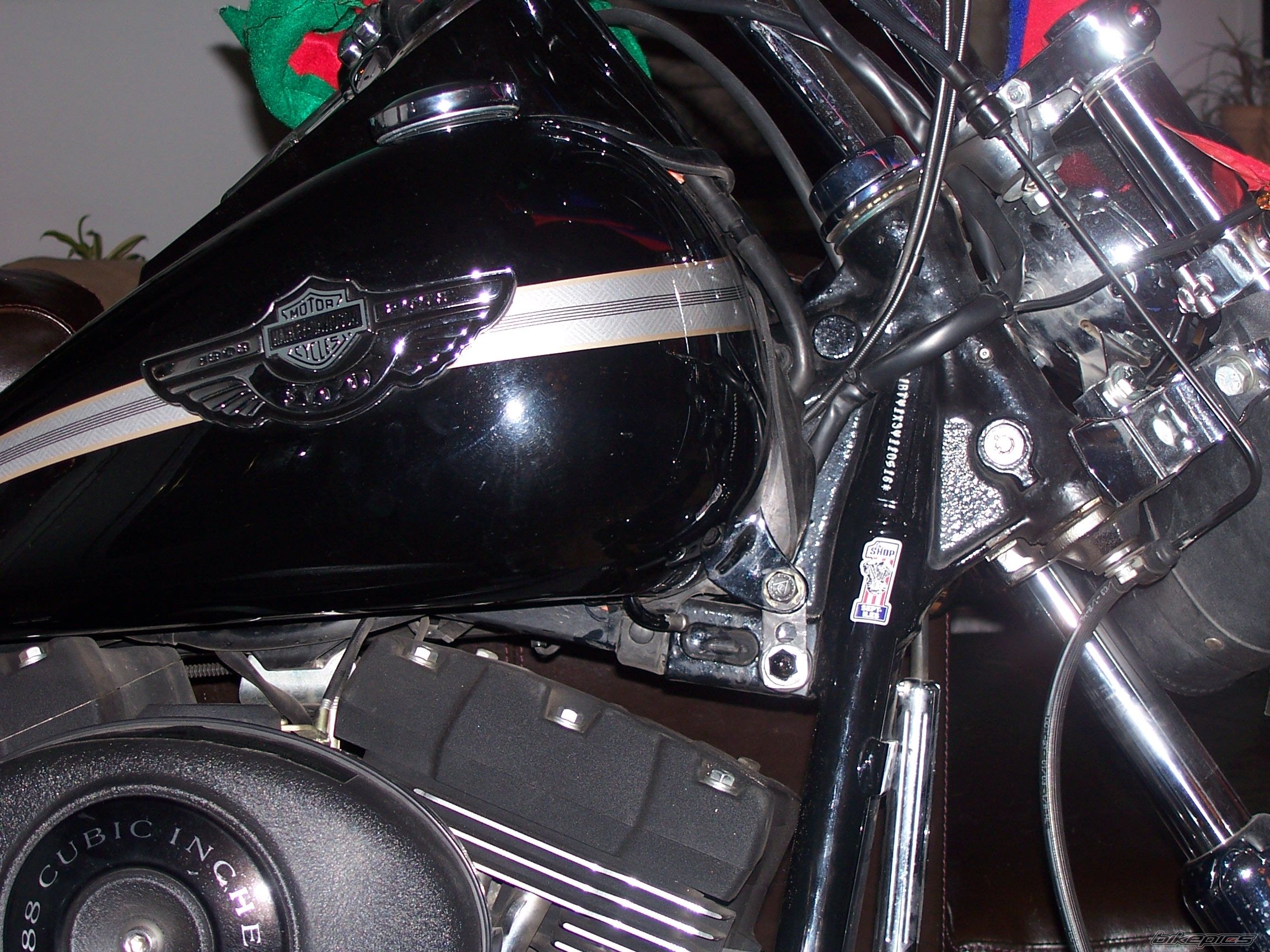 Photo 1124876