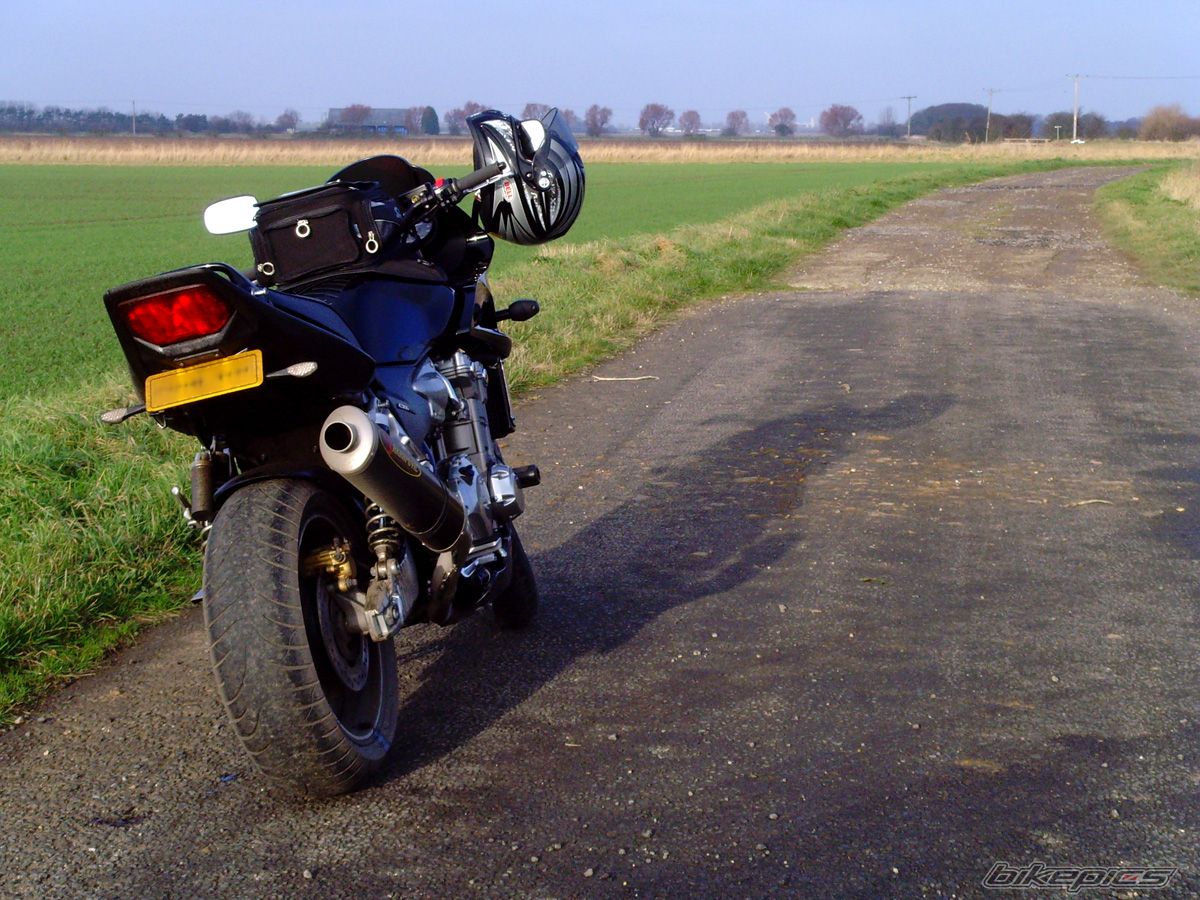 Photo 1124989