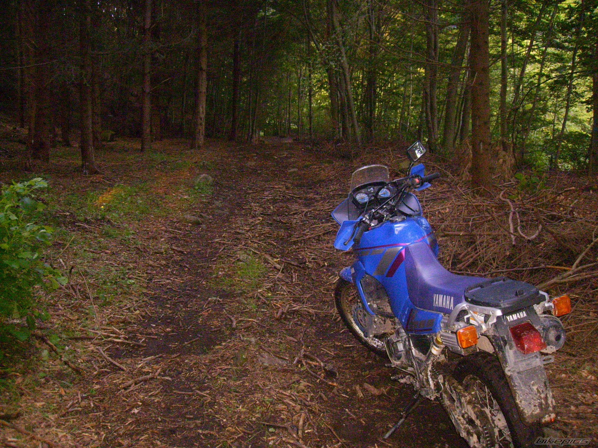 Photo 1125070