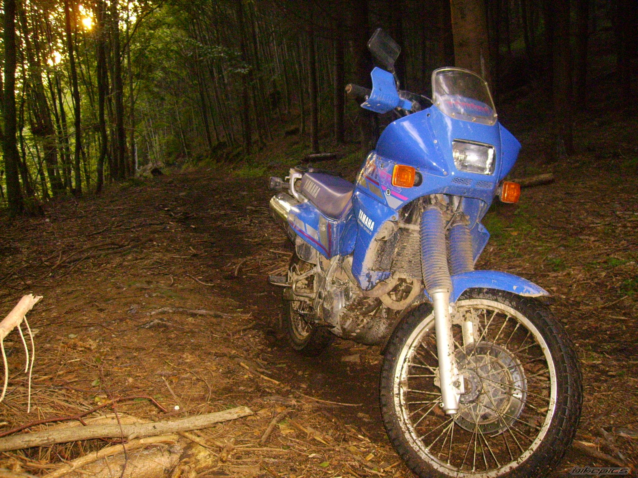 Bike Photo 1125074