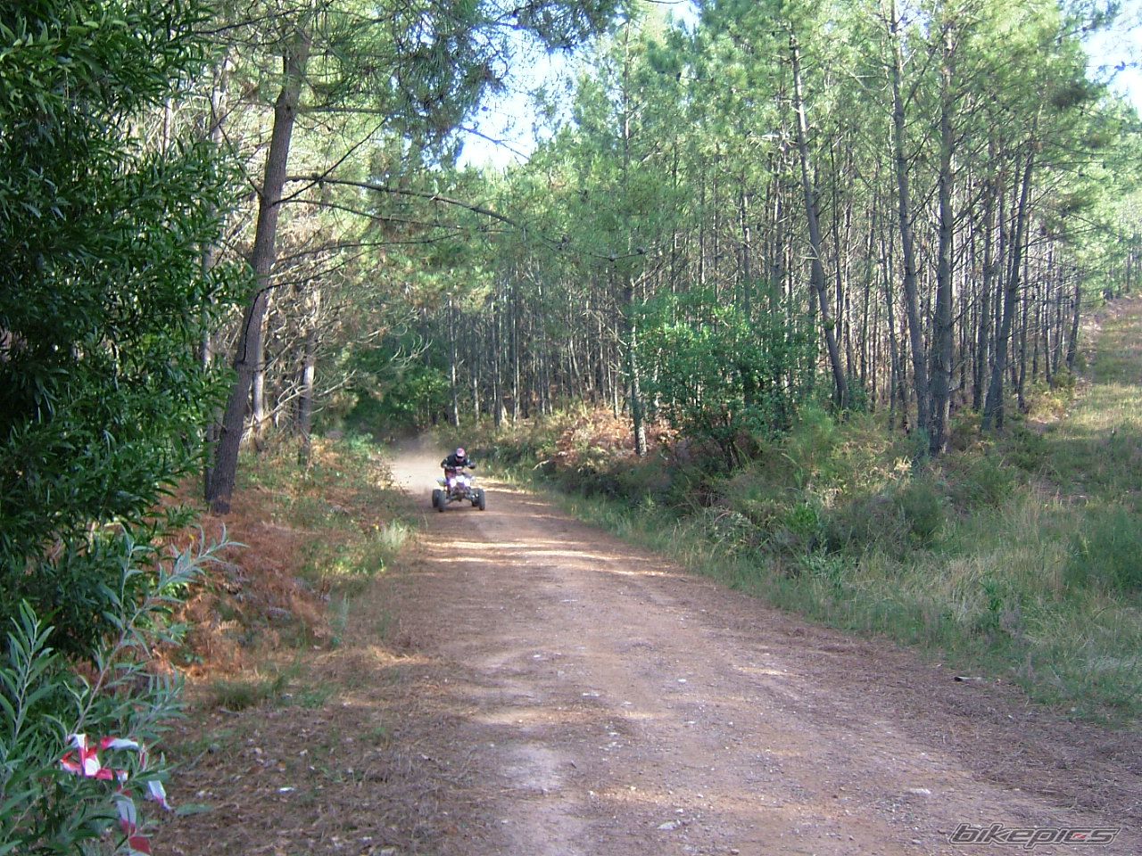 Photo 1125372