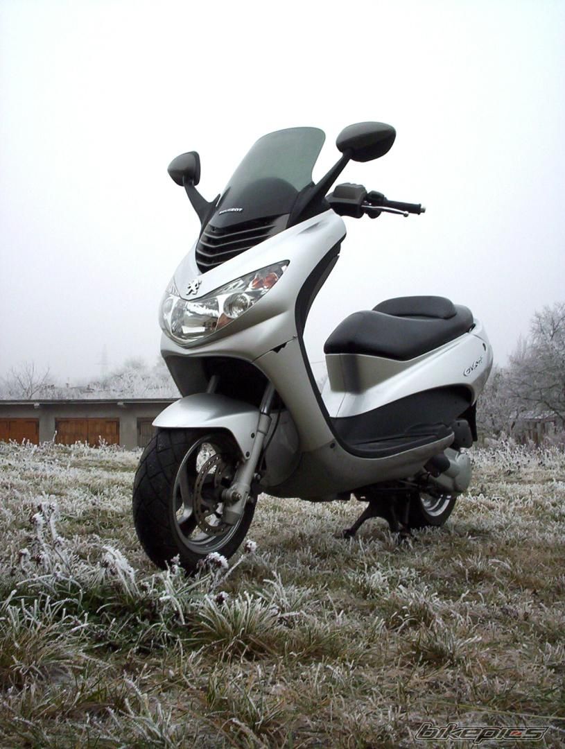 Photo 1125386