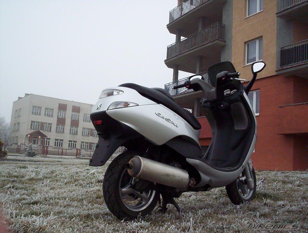 Photo 1125388