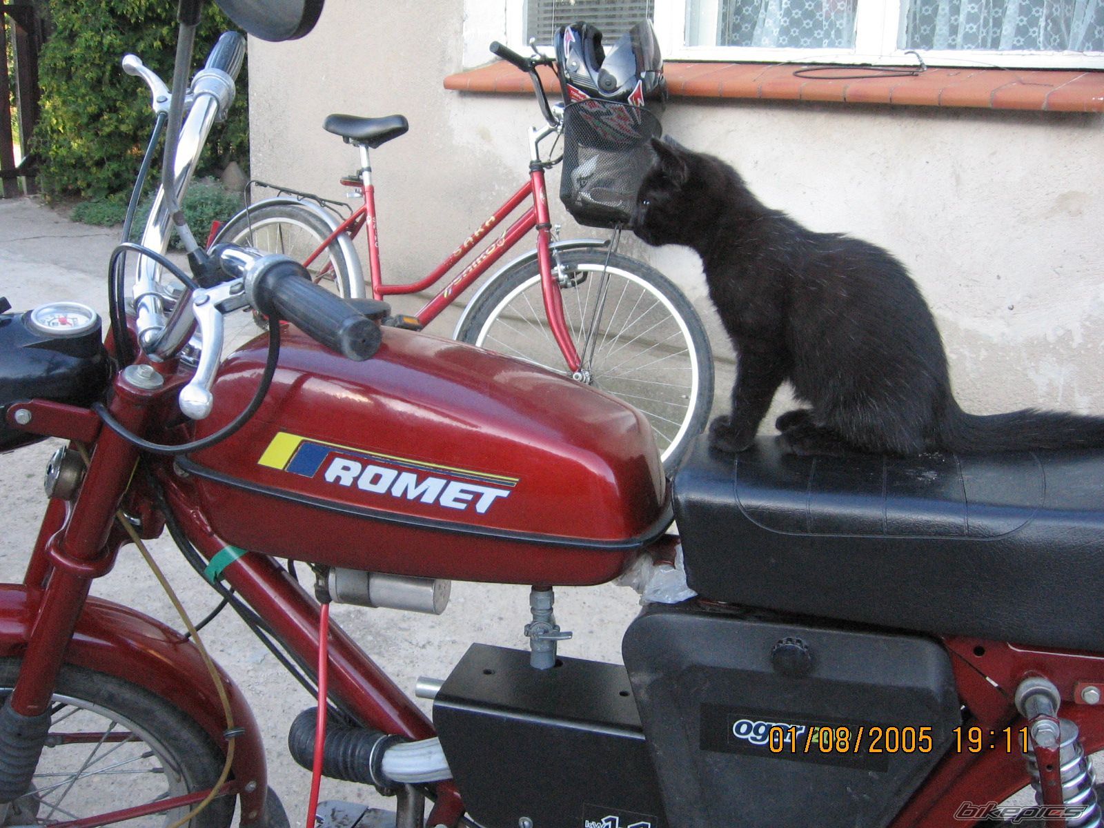 Photo 1125509
