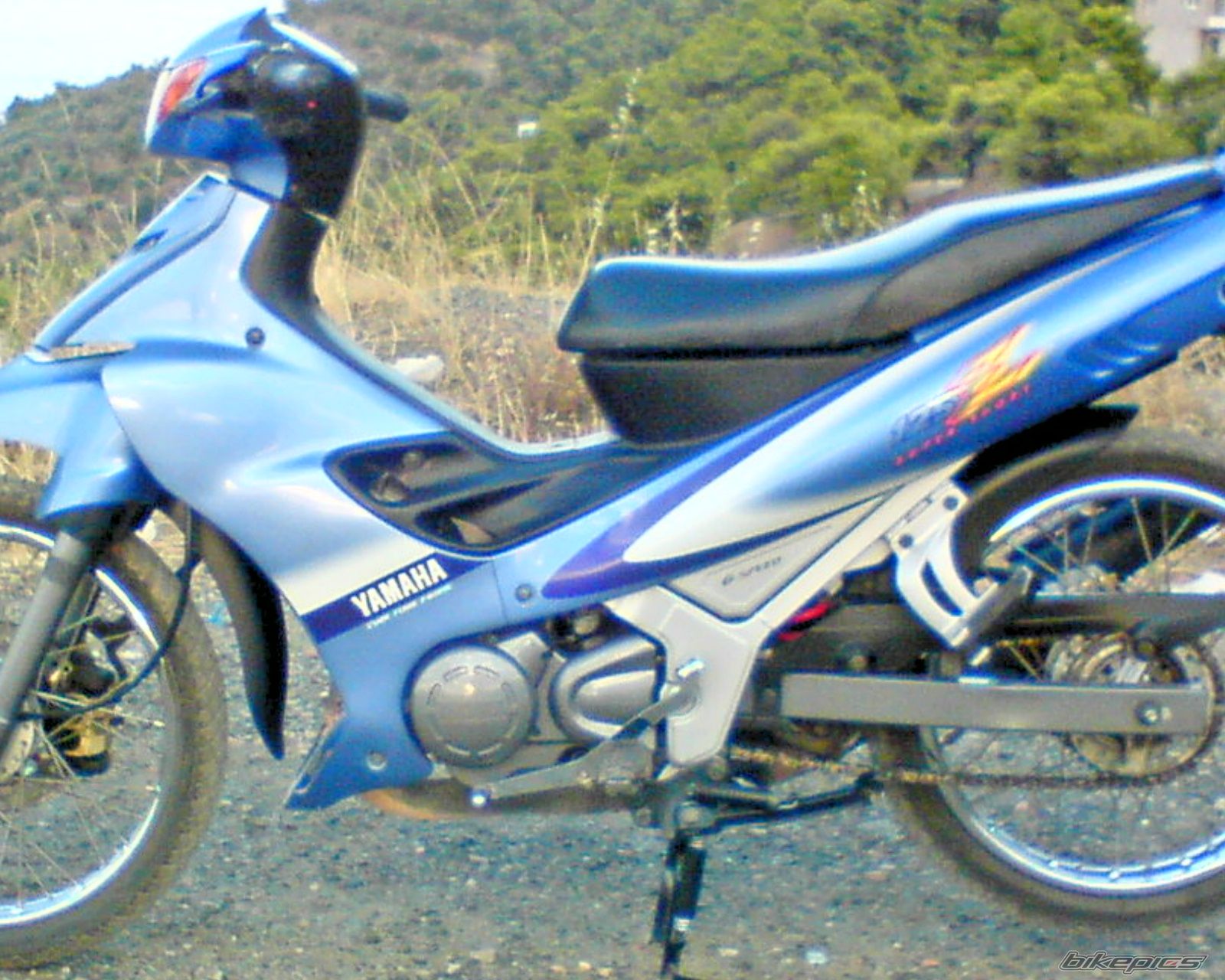 Photo 1125550