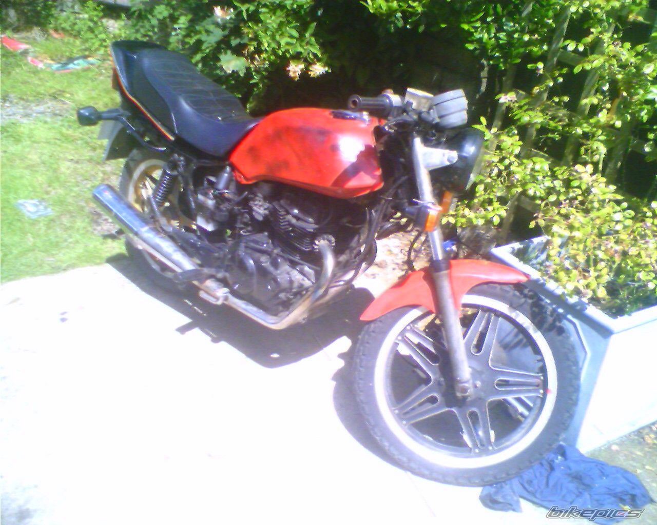 Photo 1125567