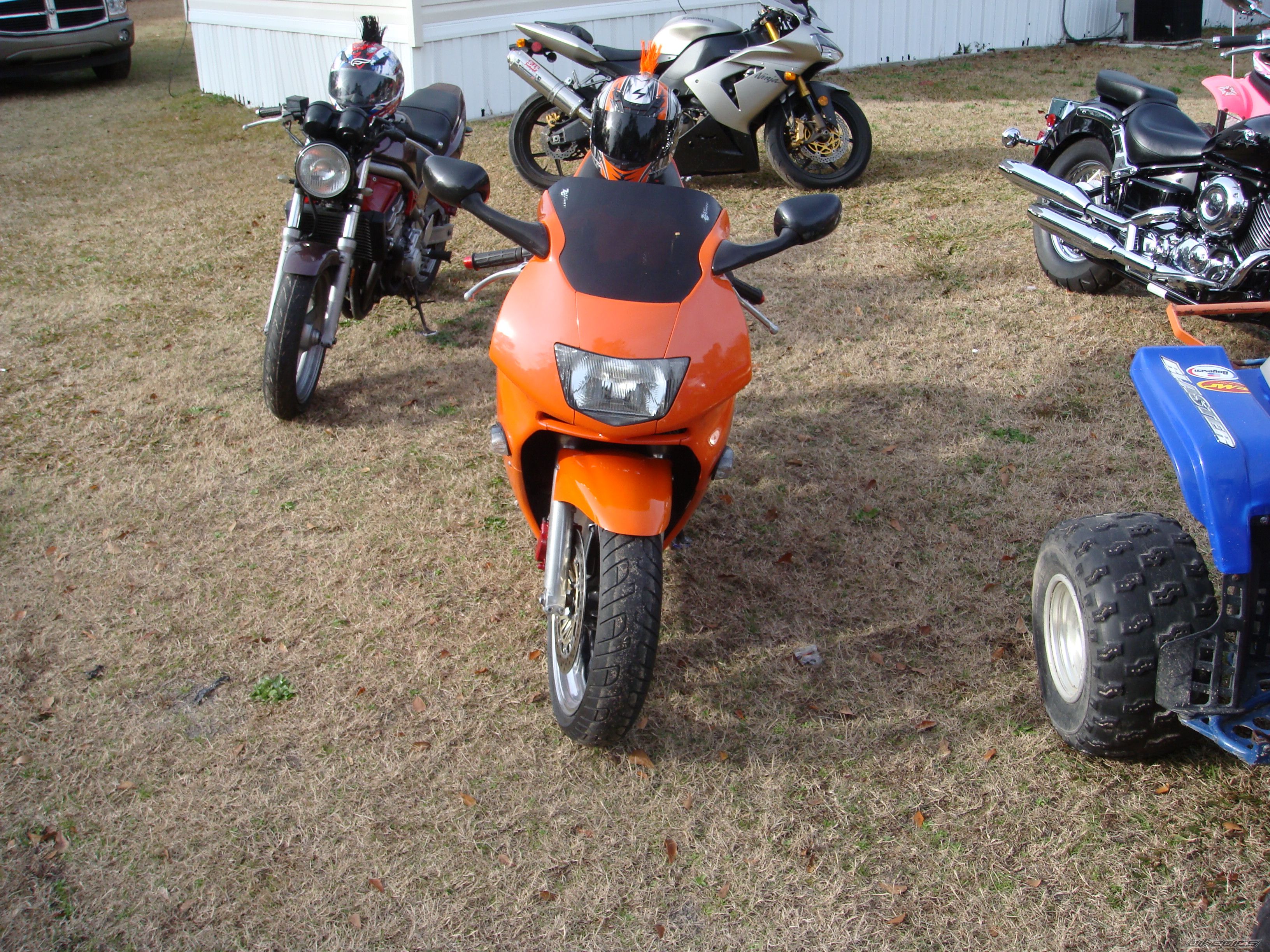 Photo 1125569