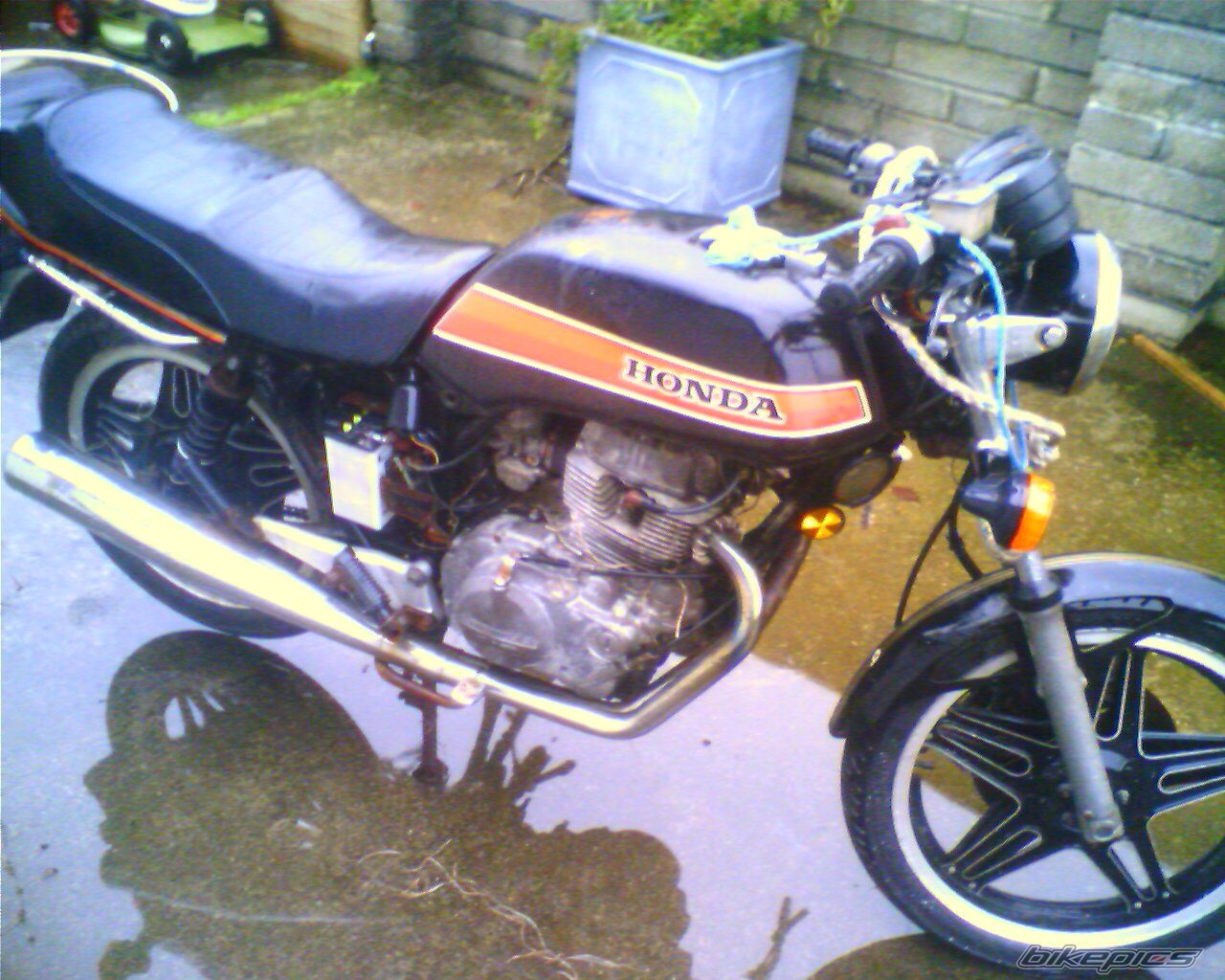 Photo 1125582