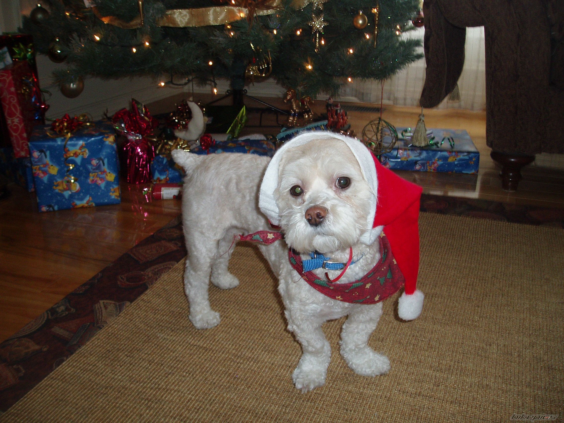 Photo 1125620