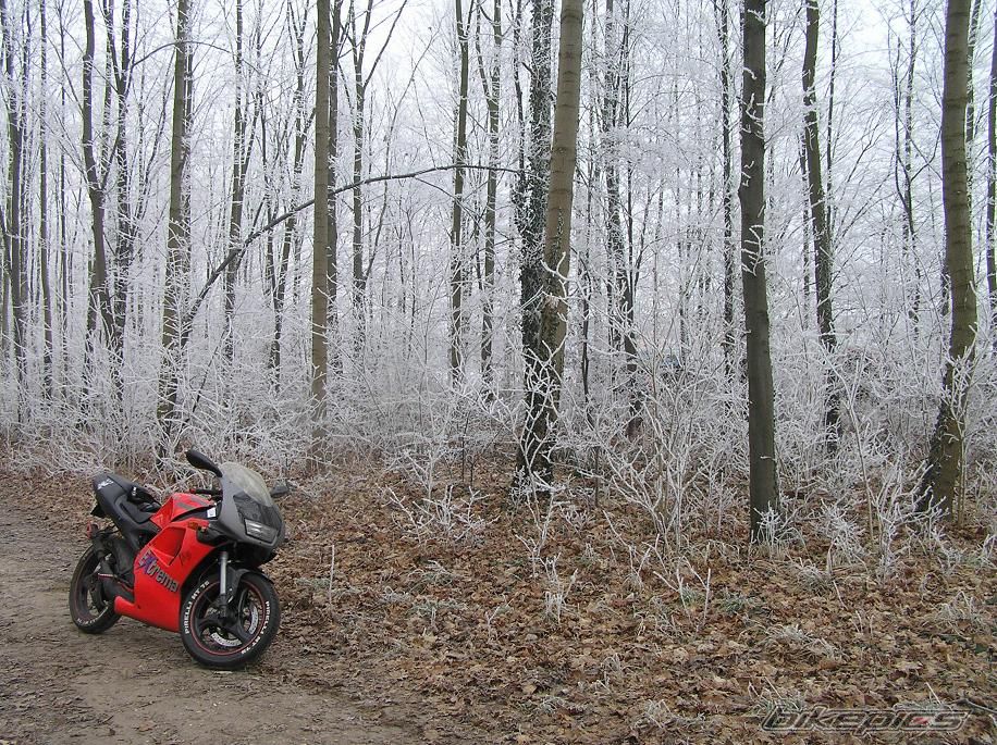Bike Photo 1125896