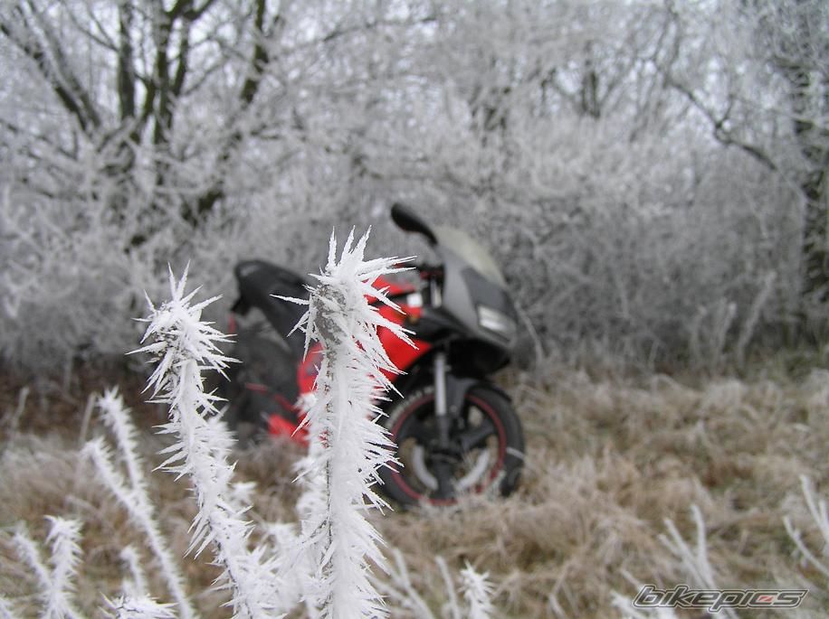 Bike Photo 1125897