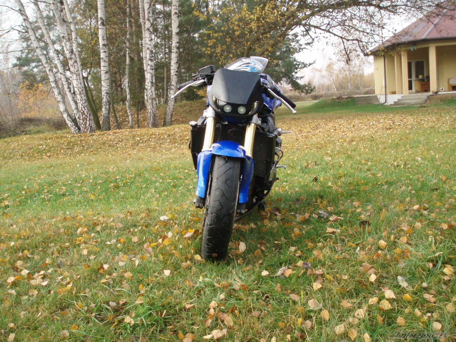 Photo 1125904